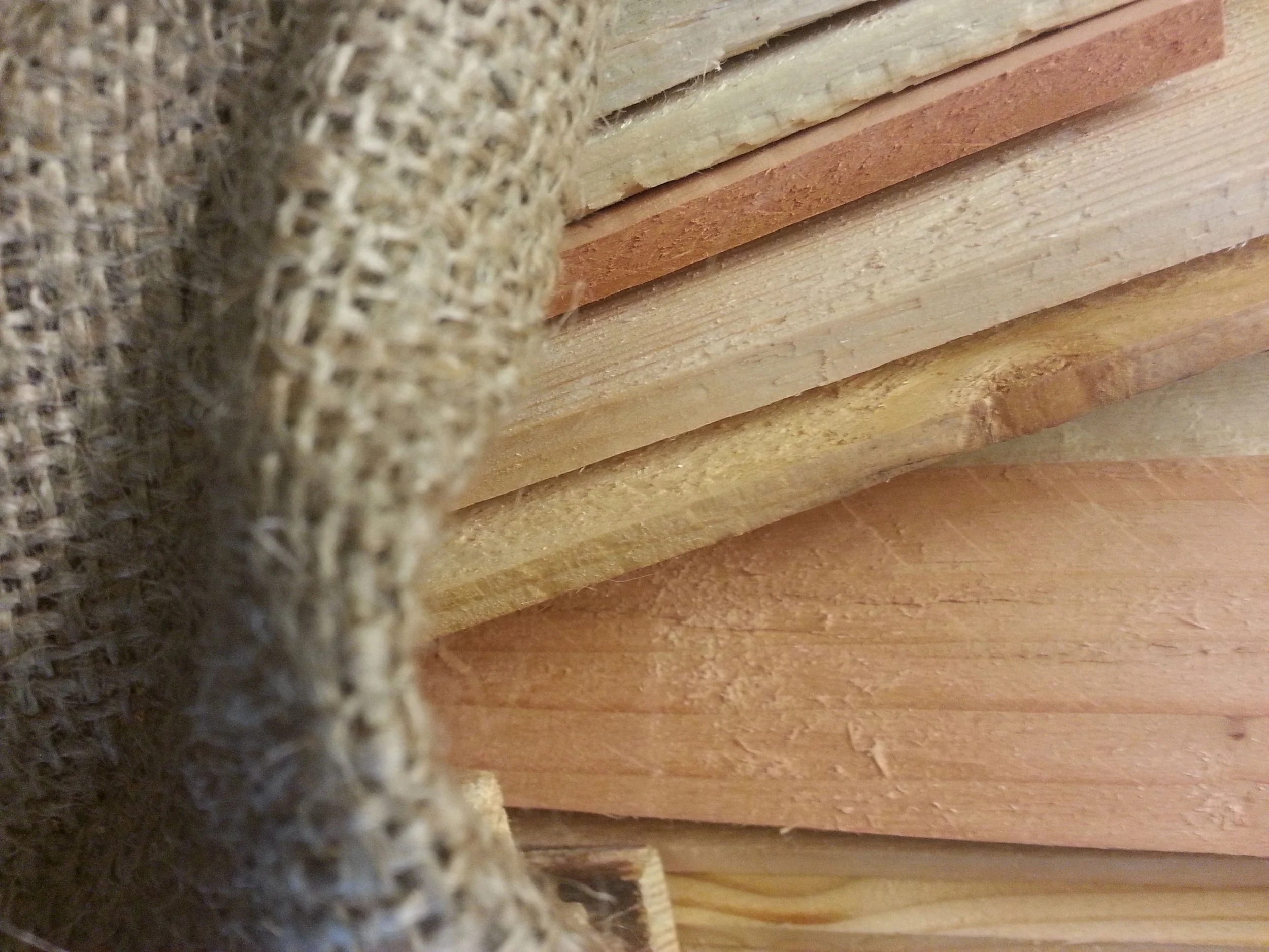 Close-Up.jpg