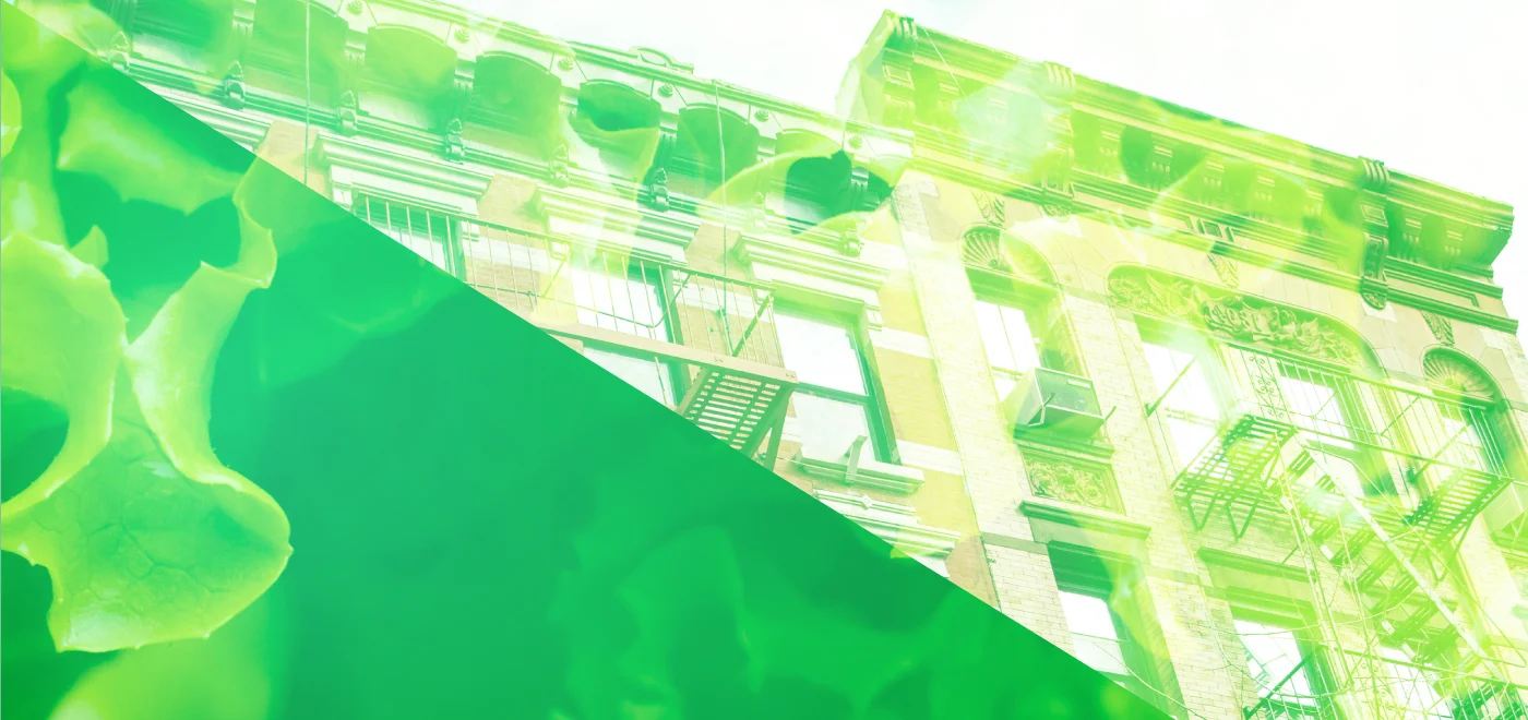 Location_banner.jpg
