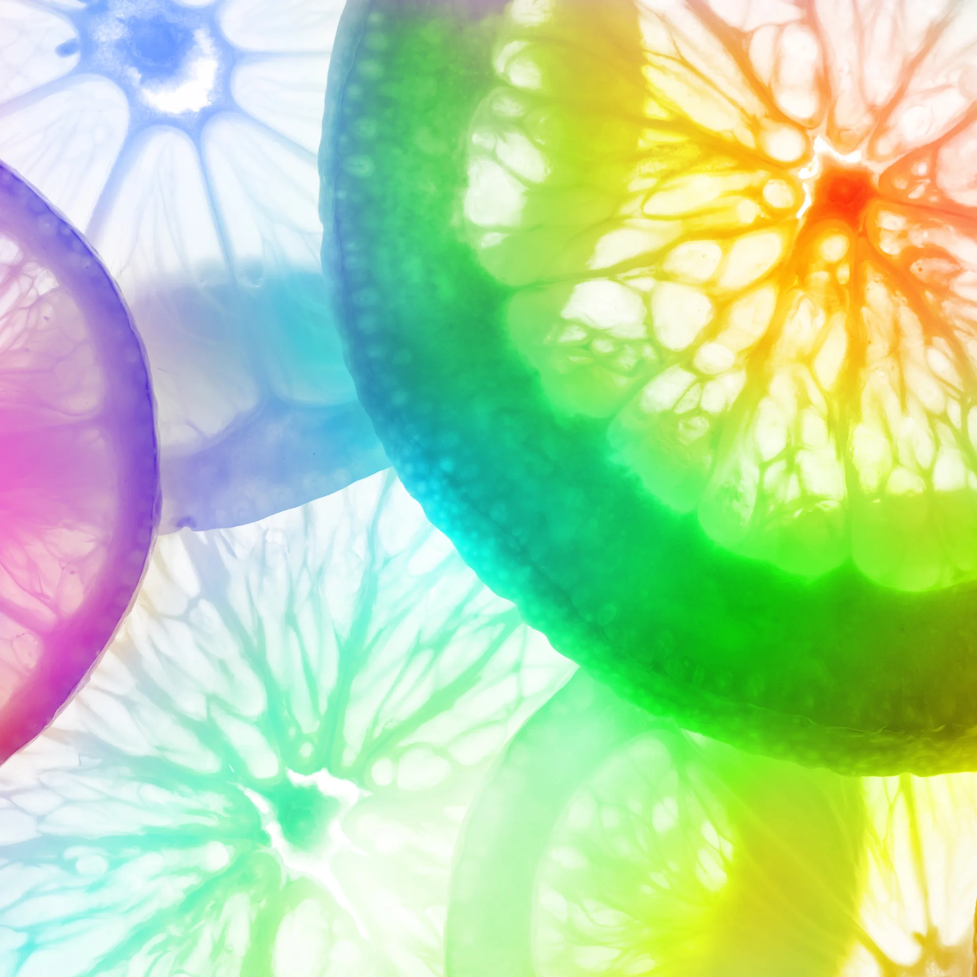 RainbowOranges_forWebsite.jpg
