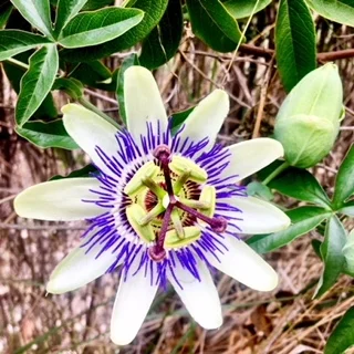 KHI Inspiration – Travel