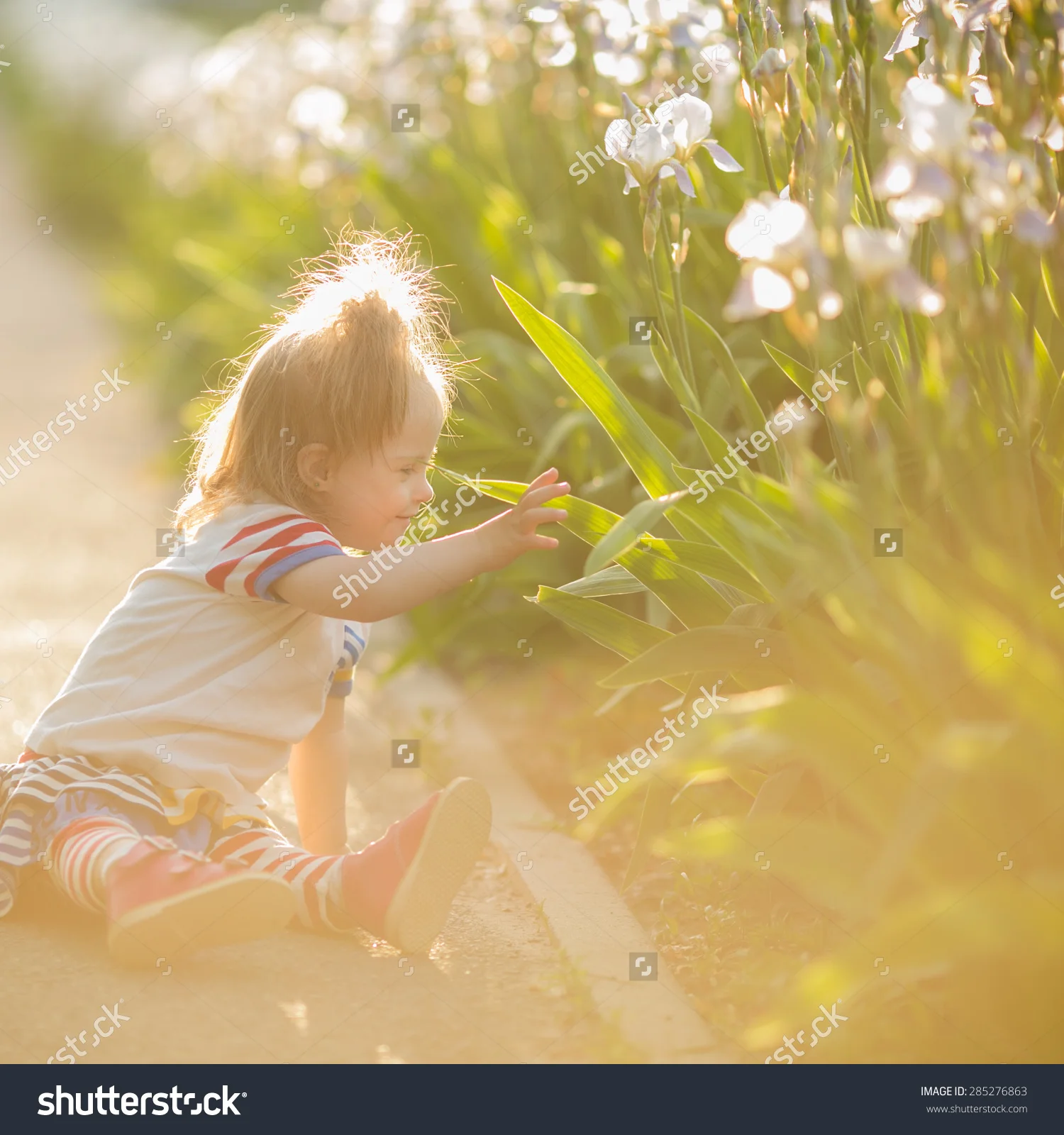stock-photo-beautiful-girl-with-down-syndrome-walks-at-sunset-285276863.jpg