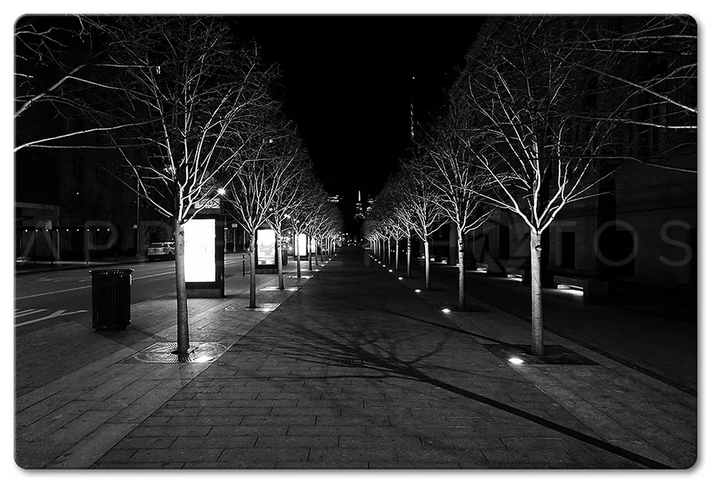 fifth_avenue_promenade_BW_905r1.jpg