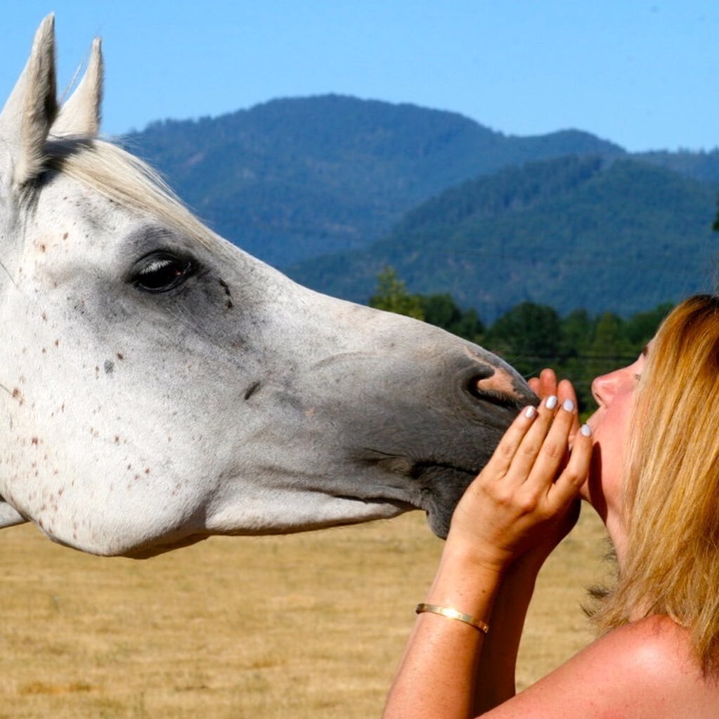 The animals that come into our lives stay forever.

Happy to help you keep the love alive with a custom photo shoot complete with an image produced on metal gallery quality inset framing - it&rsquo;ll look worthy enough for a museum. 
DM for more inf