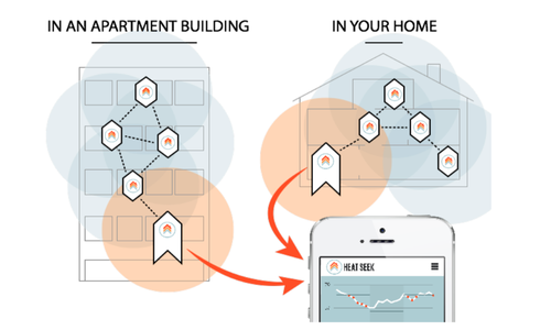 Mesh Network.png