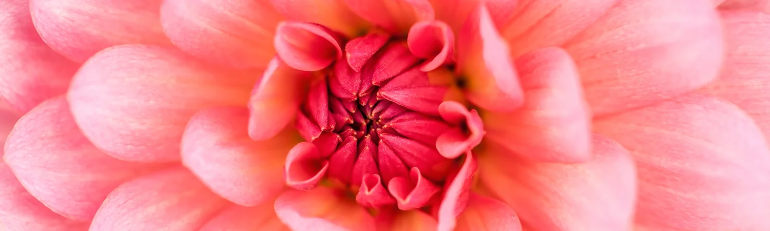 Simply Skin Health In Harmony