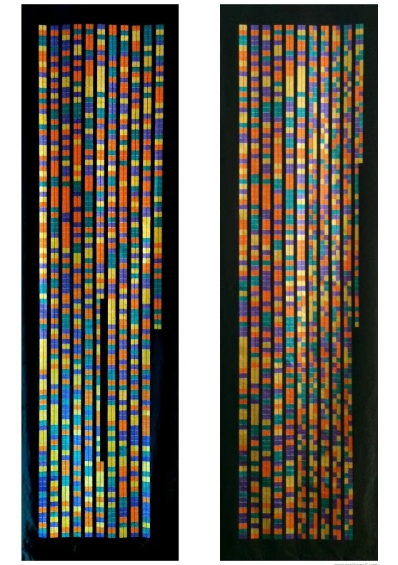 Each banner shows the normal CCR5 sequence laid next to the CCR5 Delta 32 mutation sequence. The normal sequence is 1059 nucleotides long, the Delta 32 sequence is missing 32 nucleotides, starting at position 553. 
