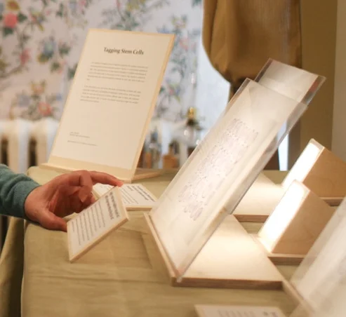There is quite a bit of text for this exhibit. It is designed so that different narratives can be written for specific audiences. 