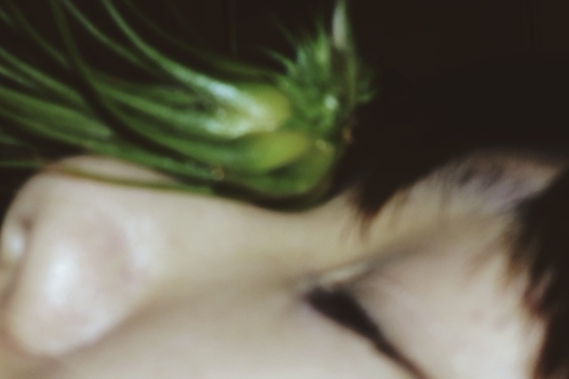 karen chan bird.jpeg