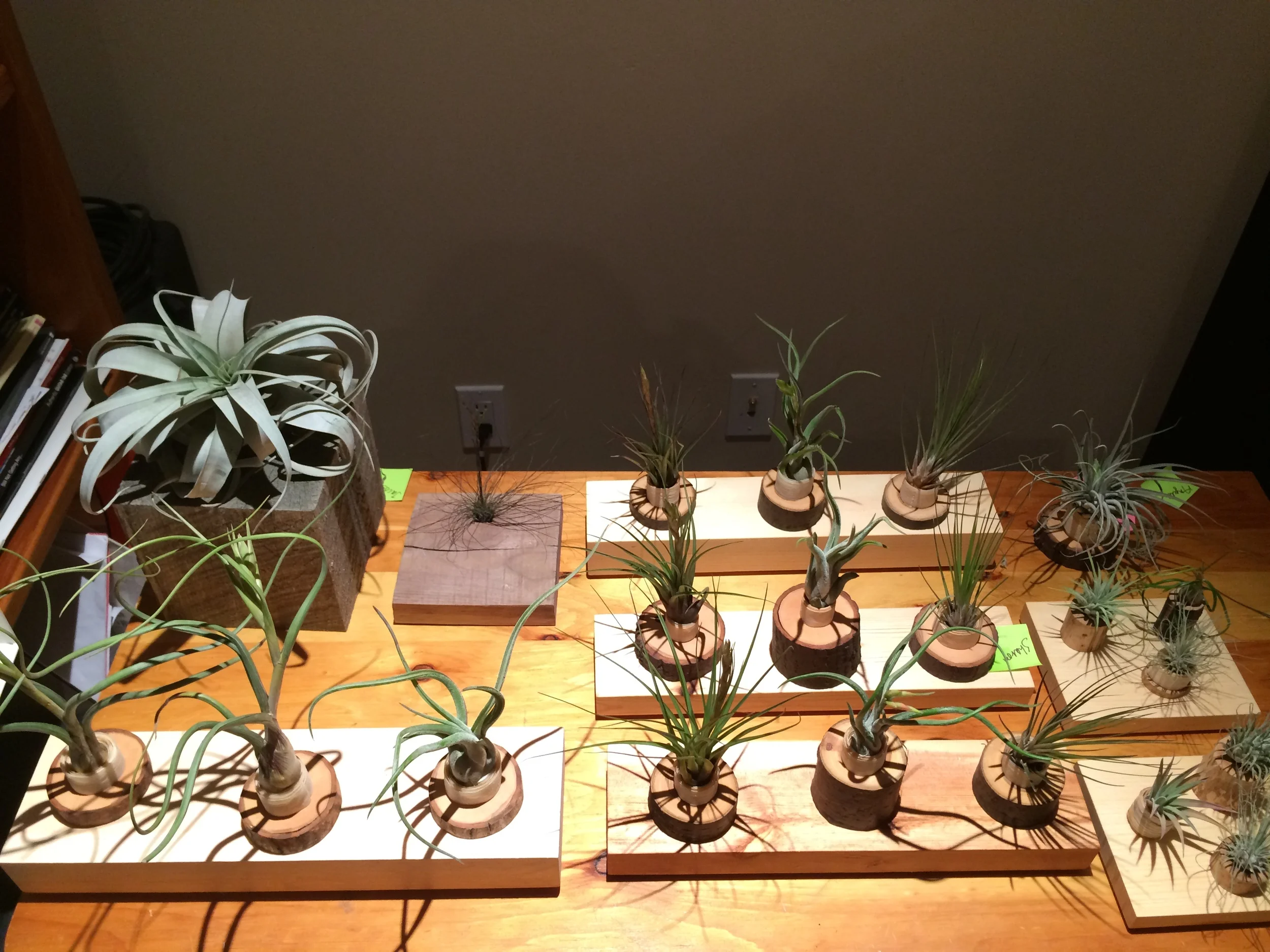 2015-11-25 17.53.28.jpg