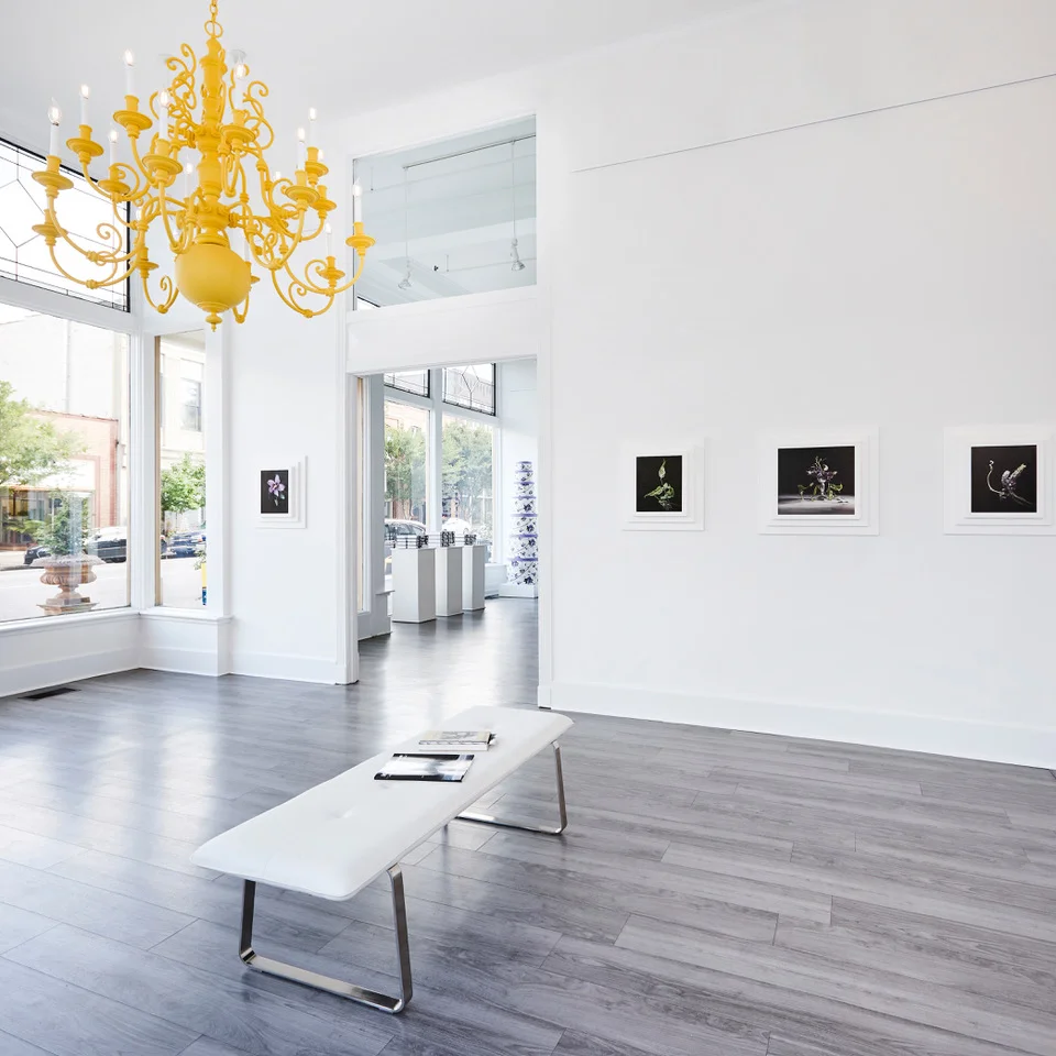 Photography credit of Canary Gallery to Laurey Glenn