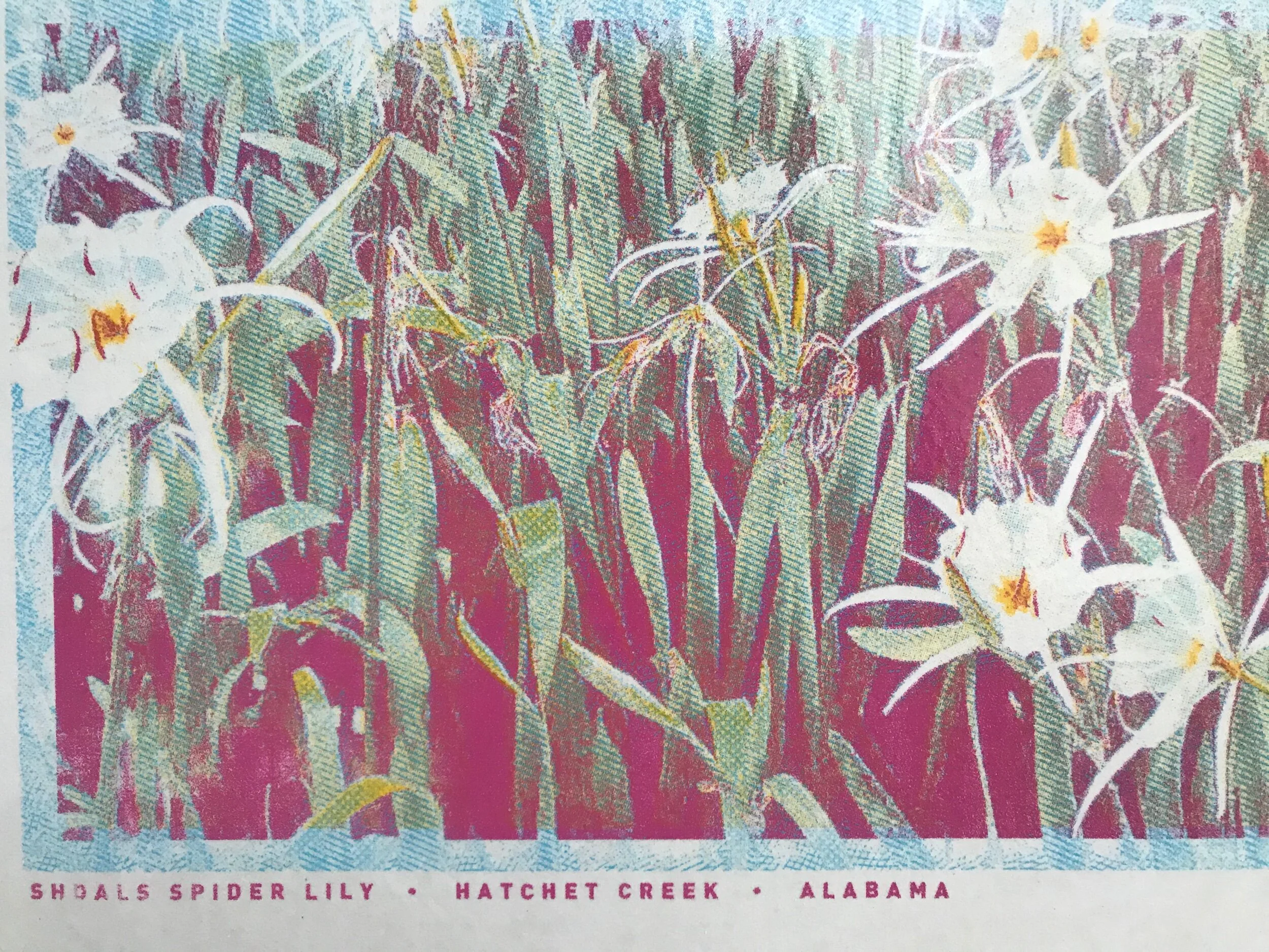 BD30DF65-39AA-4D81-B90A-C5B4EDD1AD6F