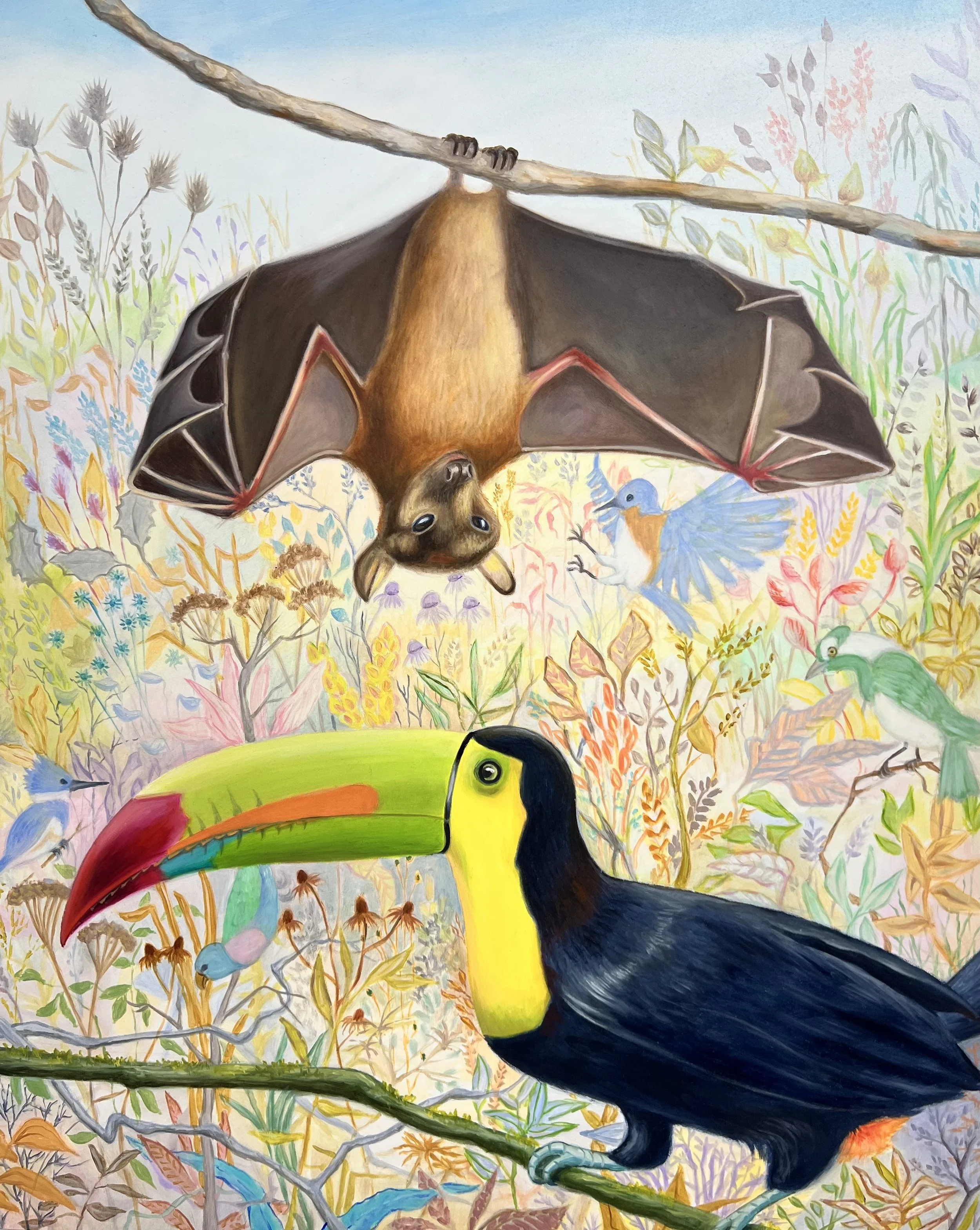 Bat_Toucan.jpeg