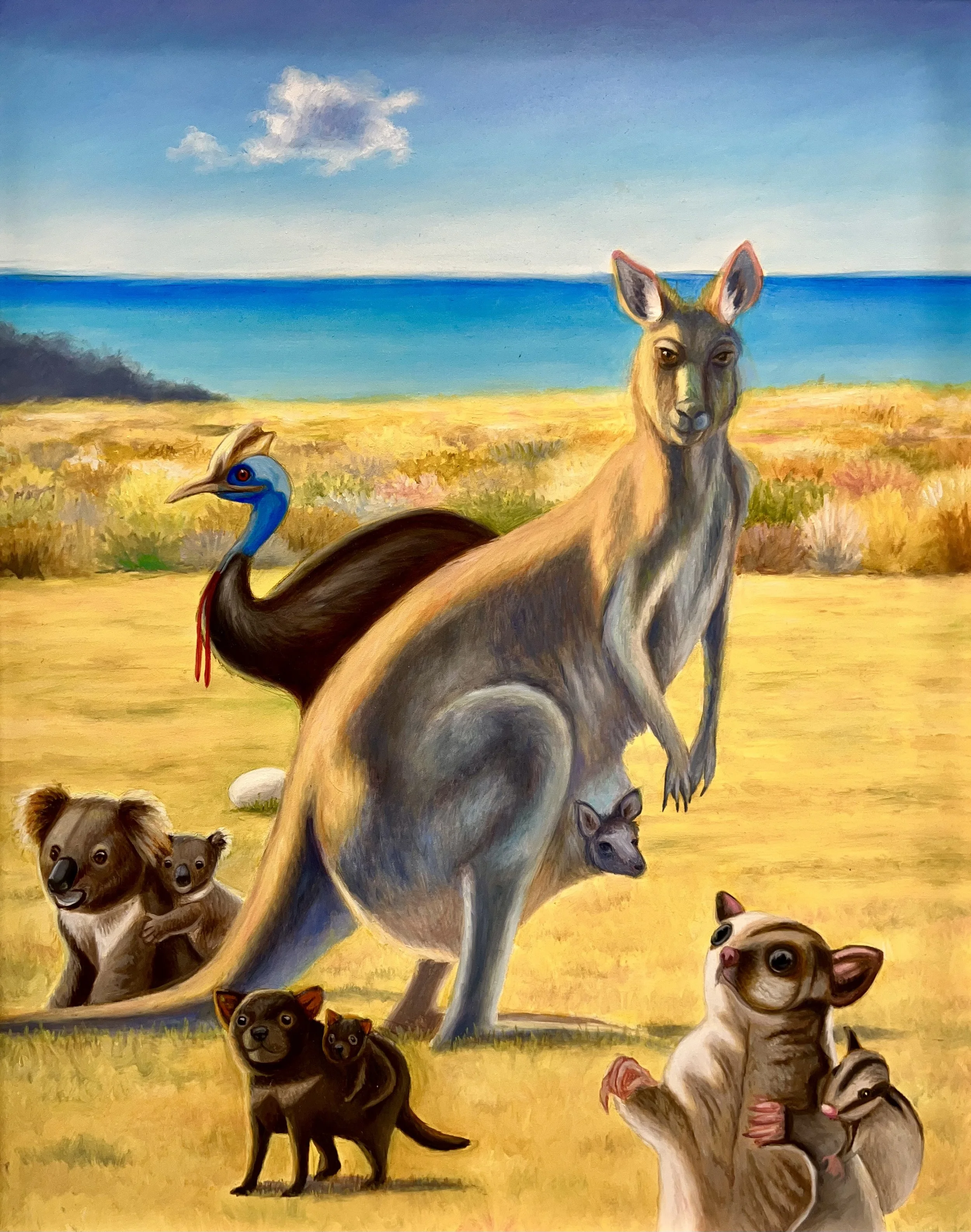 Aussies.jpeg