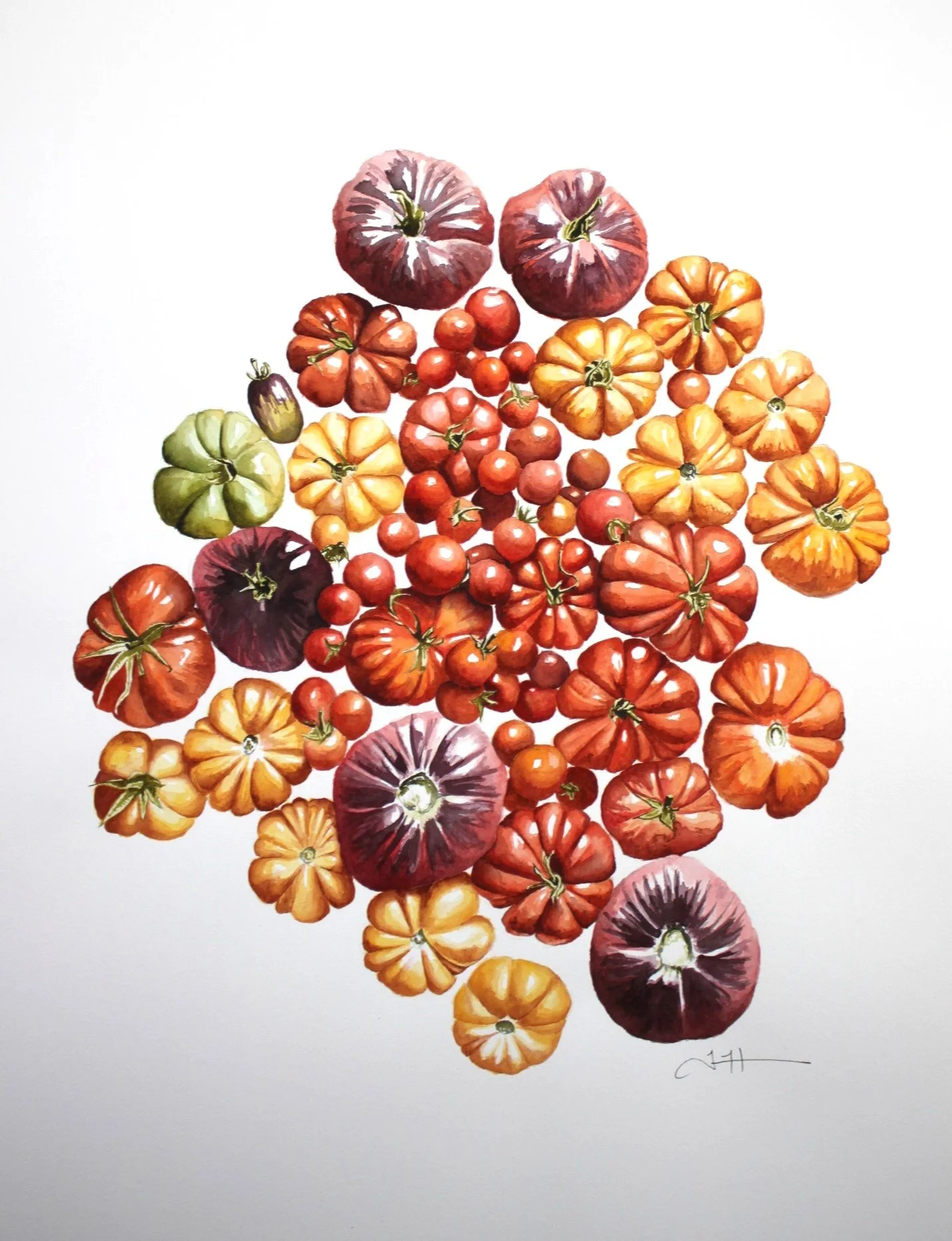 tomatoes cropped.JPG