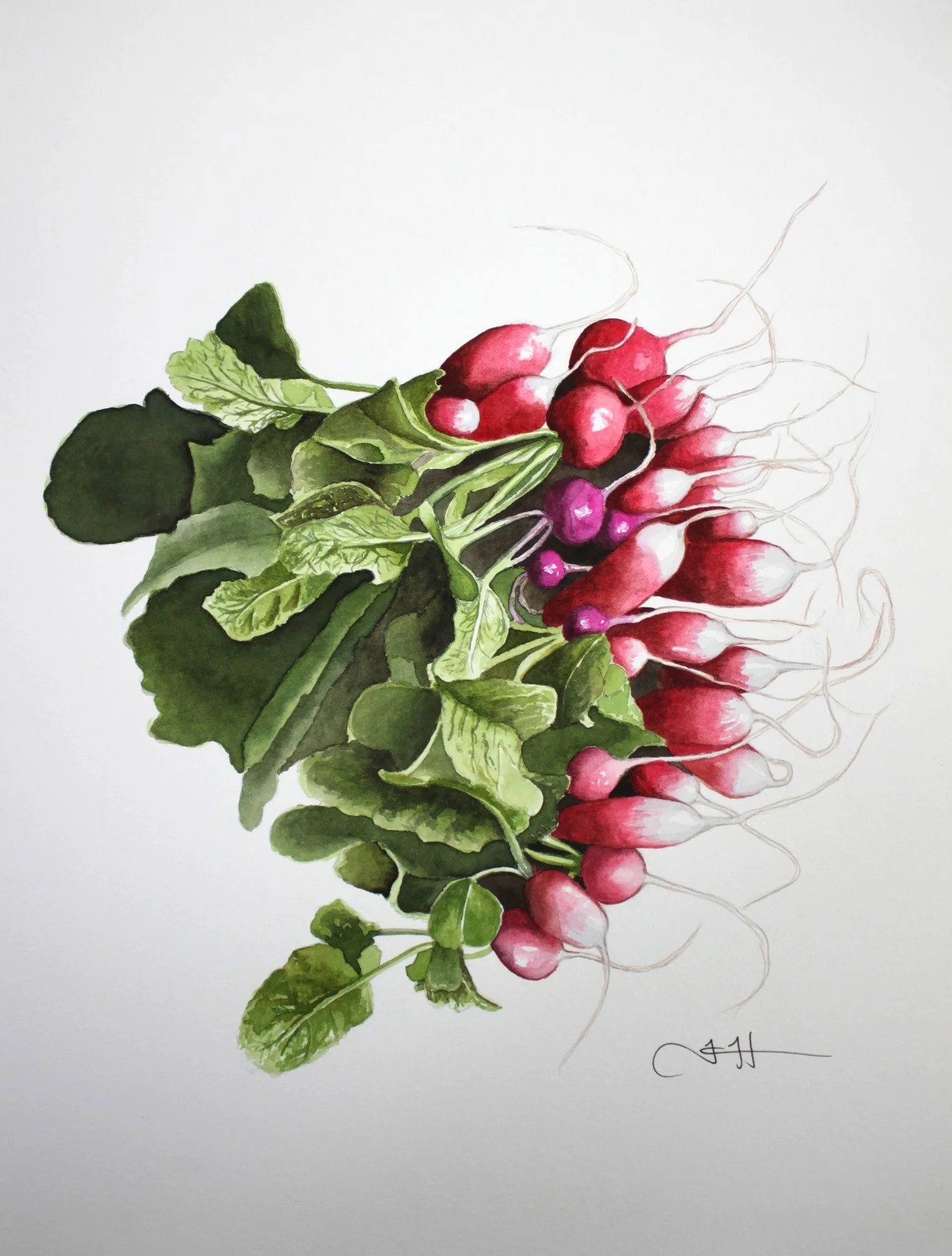 radishes cropped.JPG
