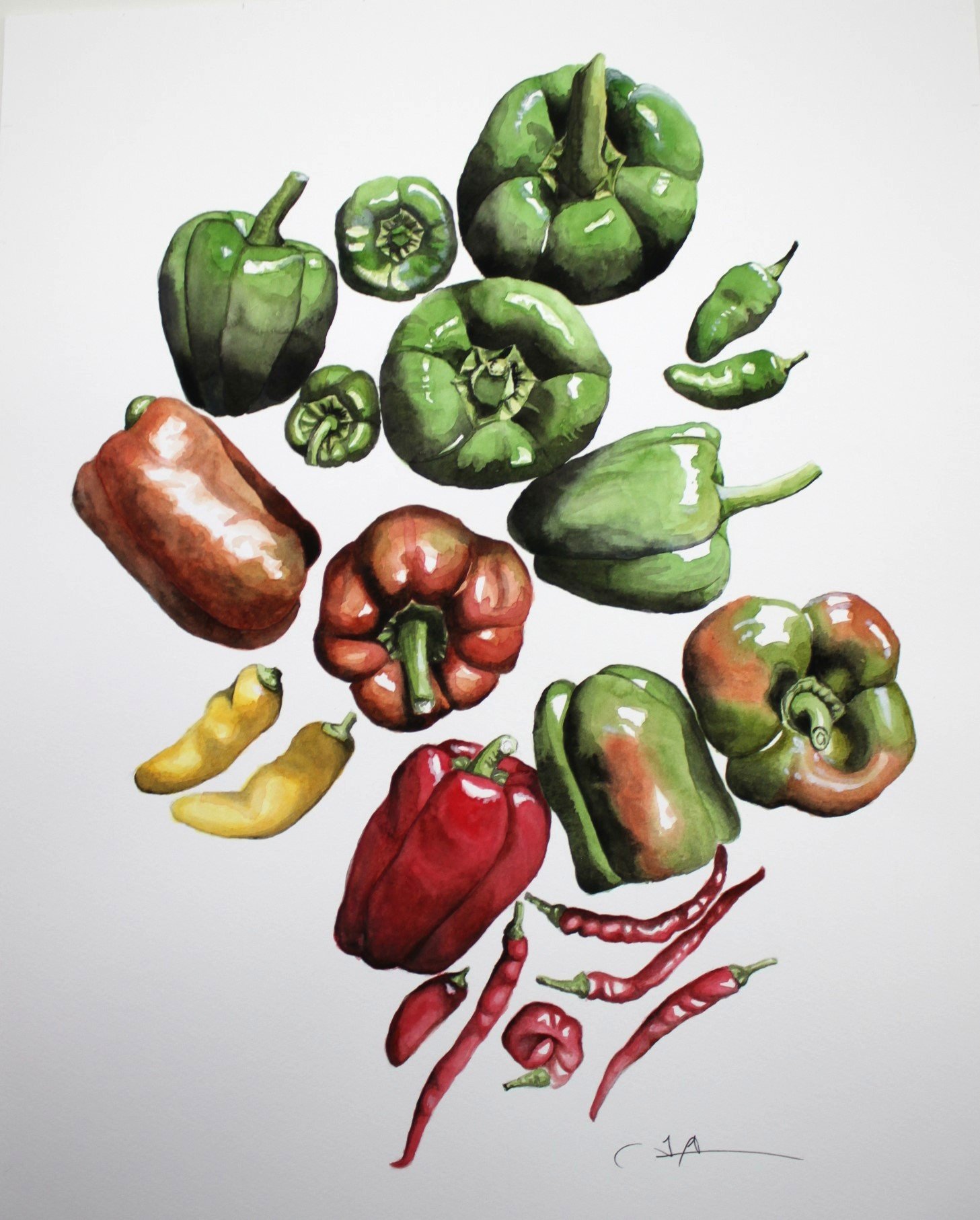 peppers cropped.JPG
