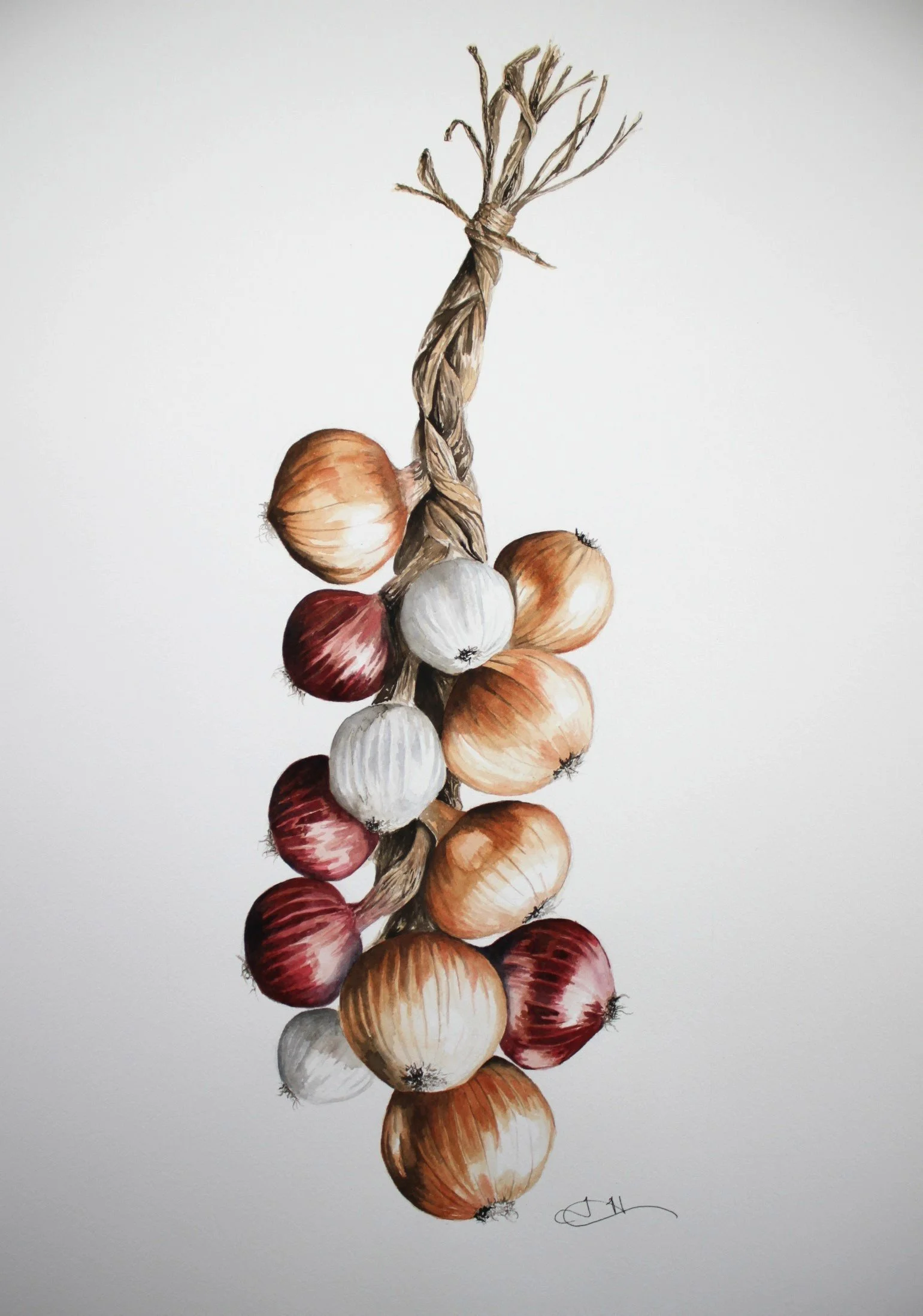 onions cropped.JPG