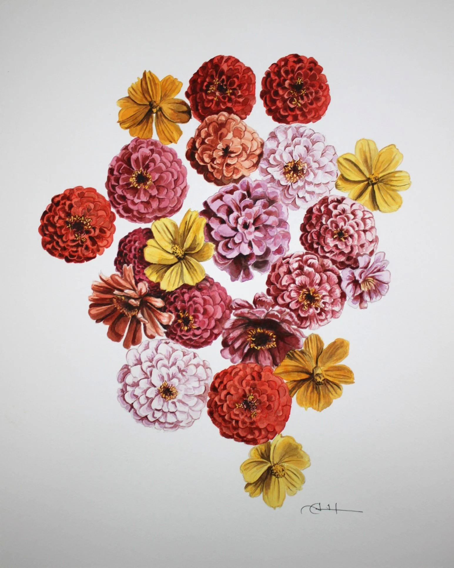 Zinnia Cropped.jpg