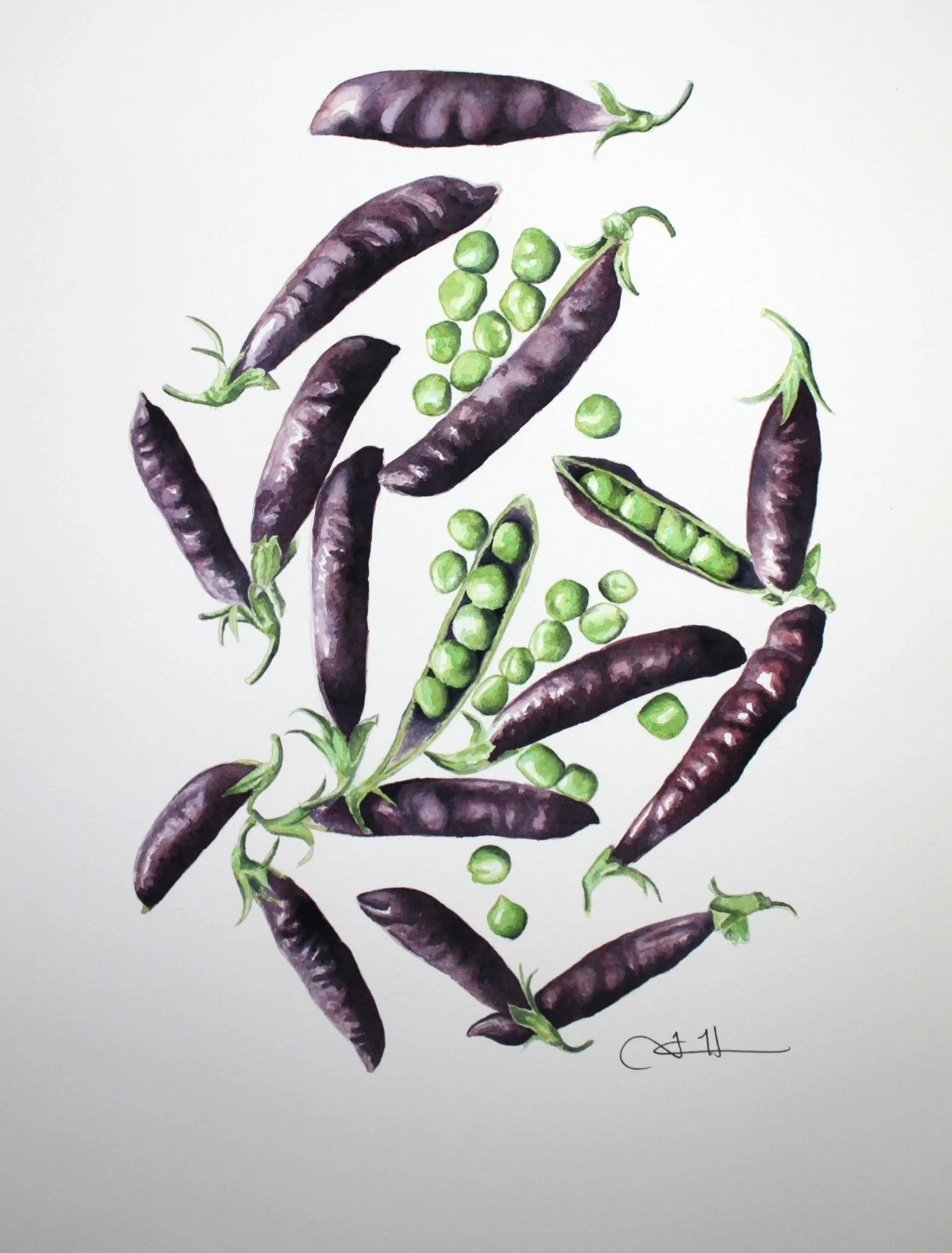 peas cropped.JPG