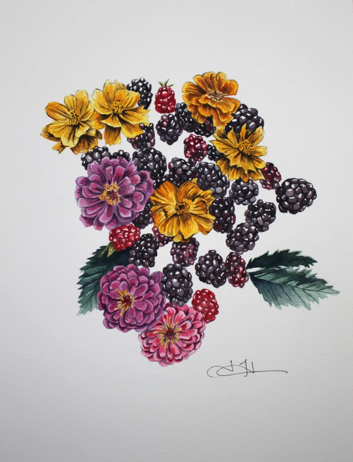 blackberries cropped.JPG