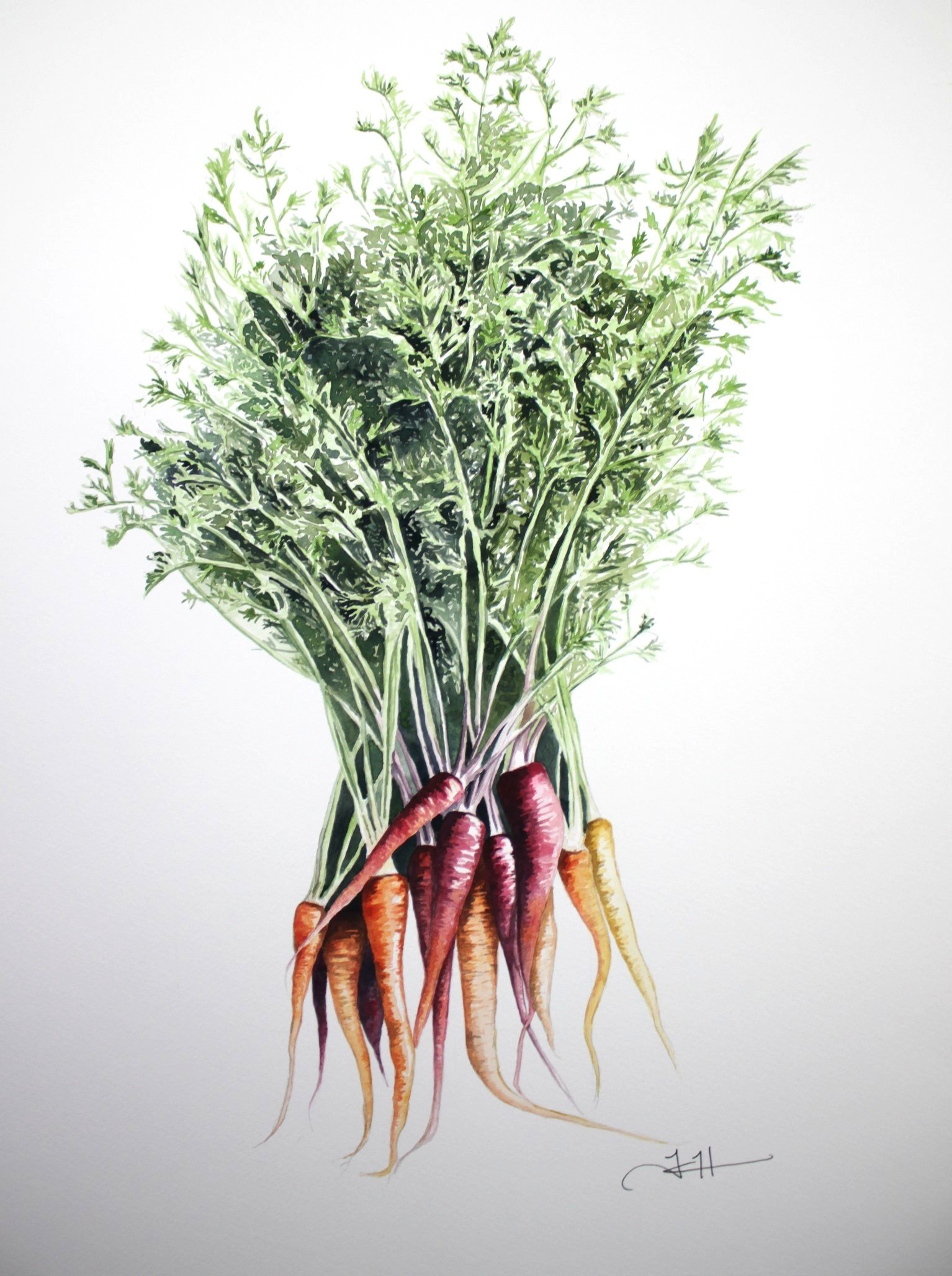 carrots cropped.JPG