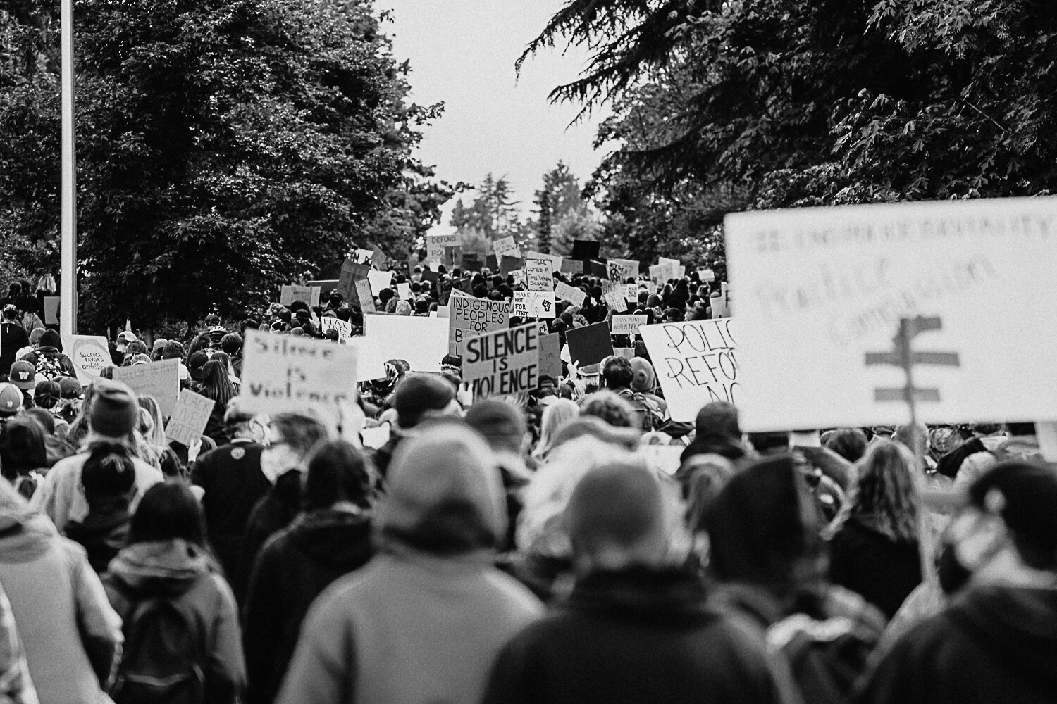 DOCUMENTARY  BLACK LIVES MATTER PROTEST MAGNUSON NORTHEAST SEATTLE  JUNE 6 2020-05213366-2.jpg