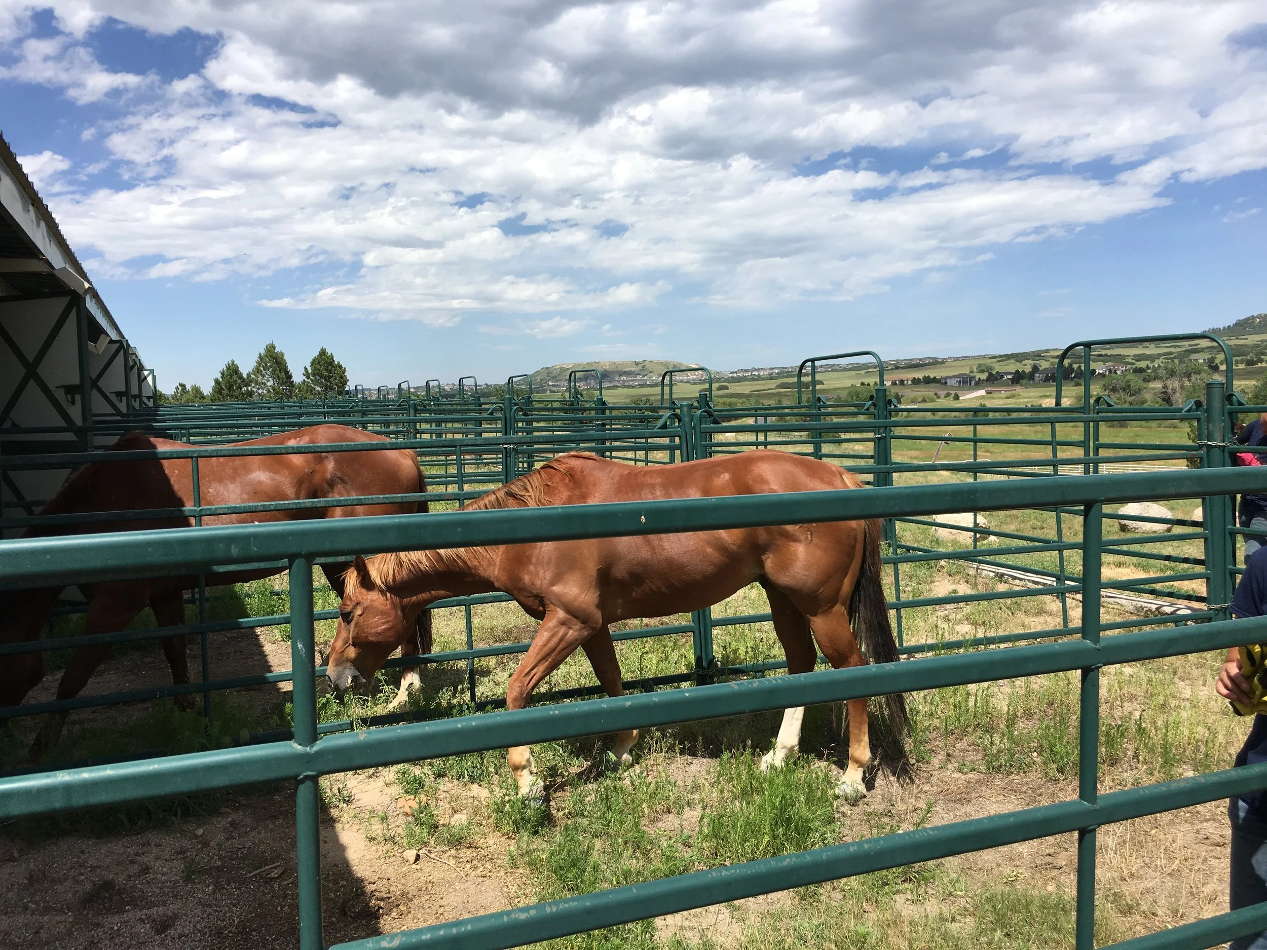 No Drama, Just Great Care