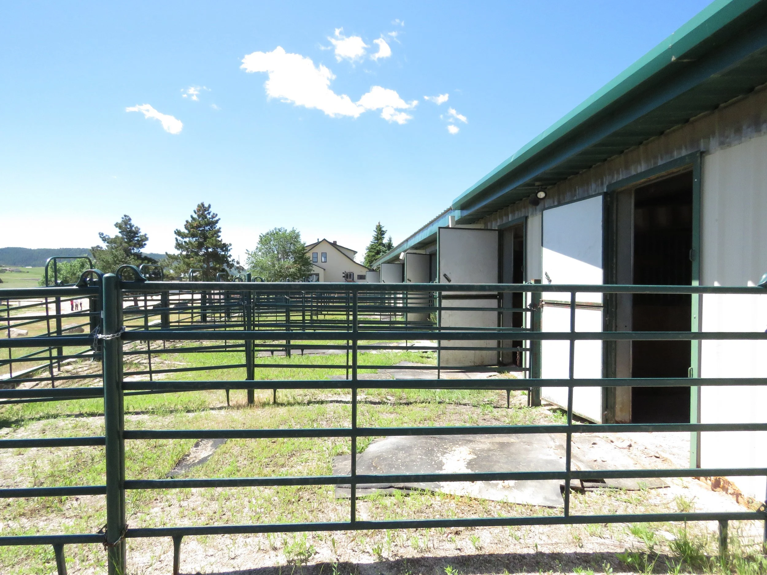 It is rare to find a barn that has both state of the art facilities and the best people. BMREC is that place.