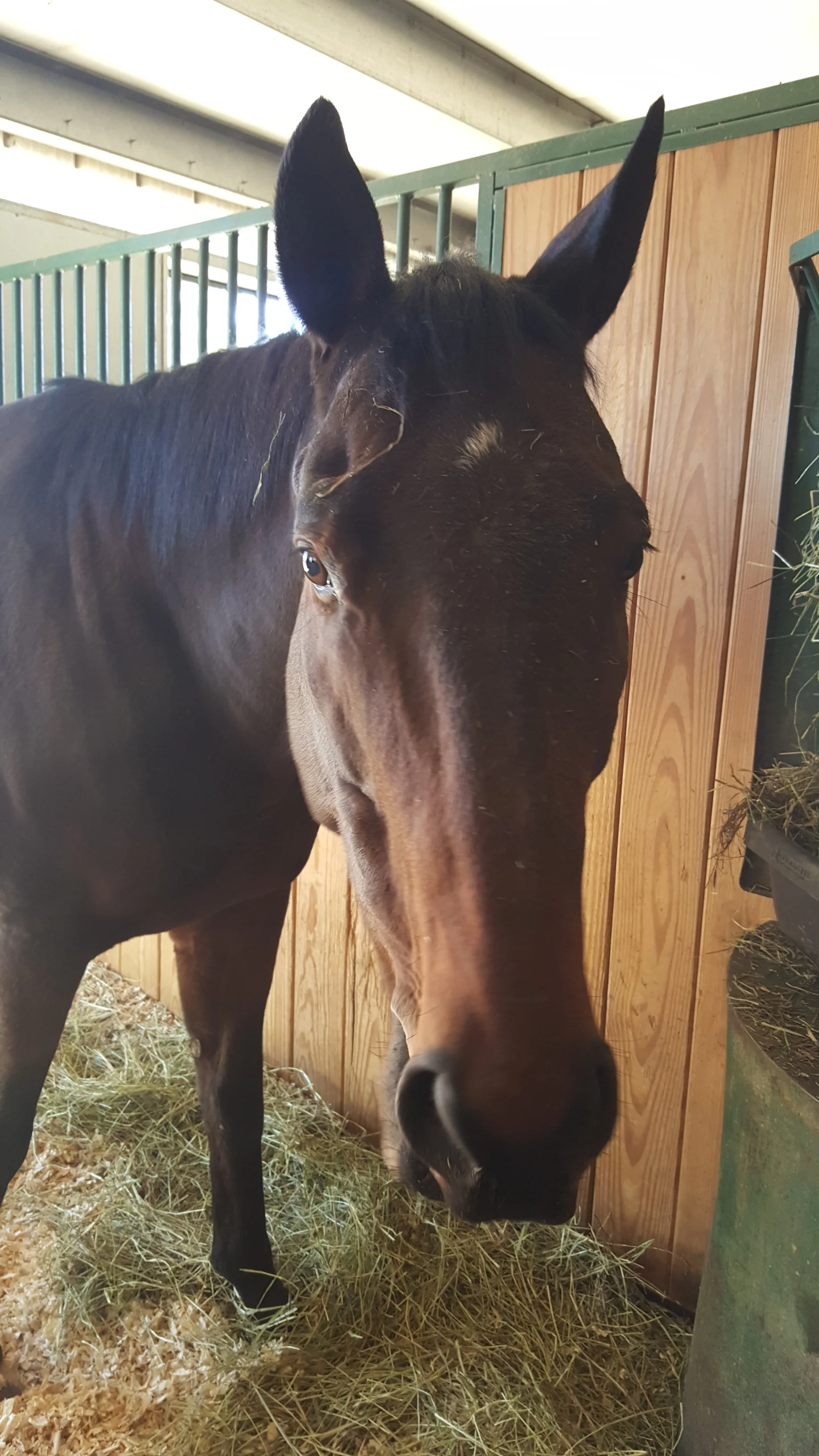 Great Riding Lesson Experience