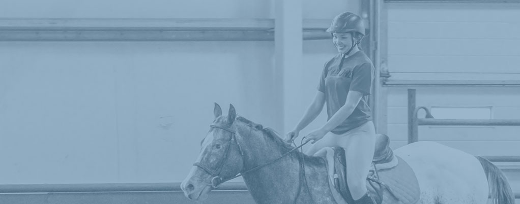 RidingLessons.jpg