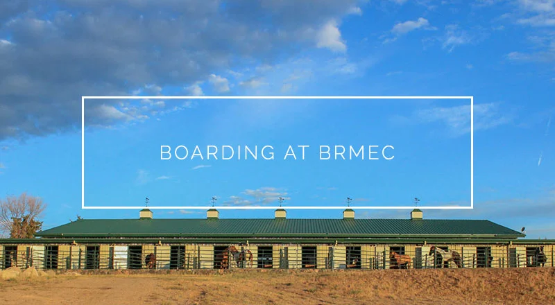 boarding-at-bmrec.jpg