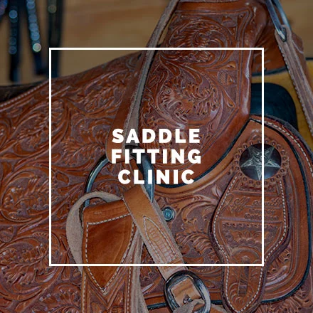 saddle-fitting.jpg