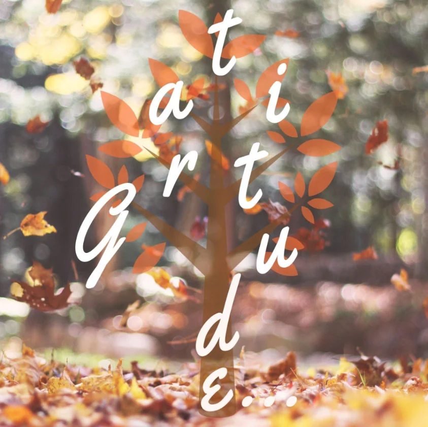gratitude-not-the-jounral.jpg