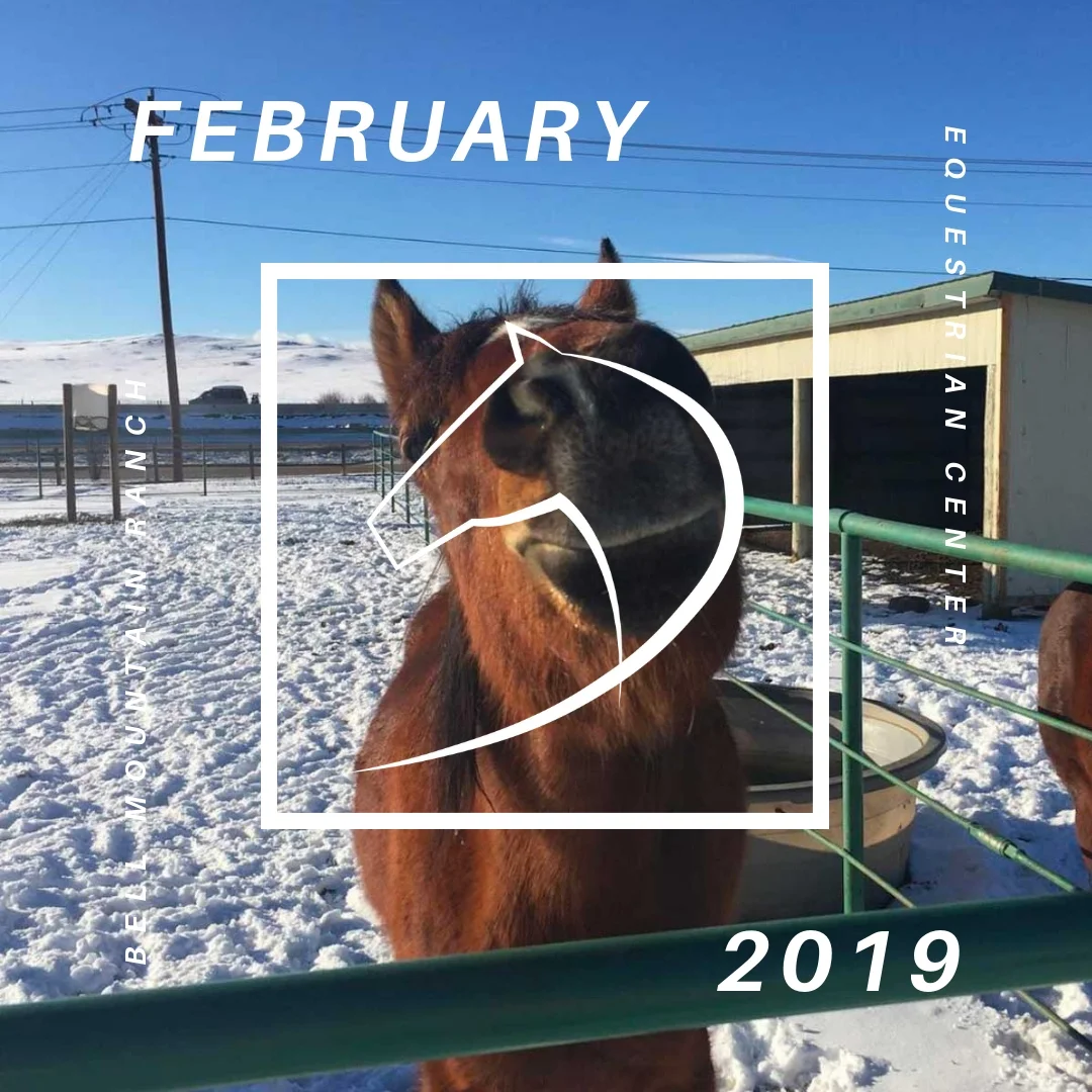 February Header Image.jpg