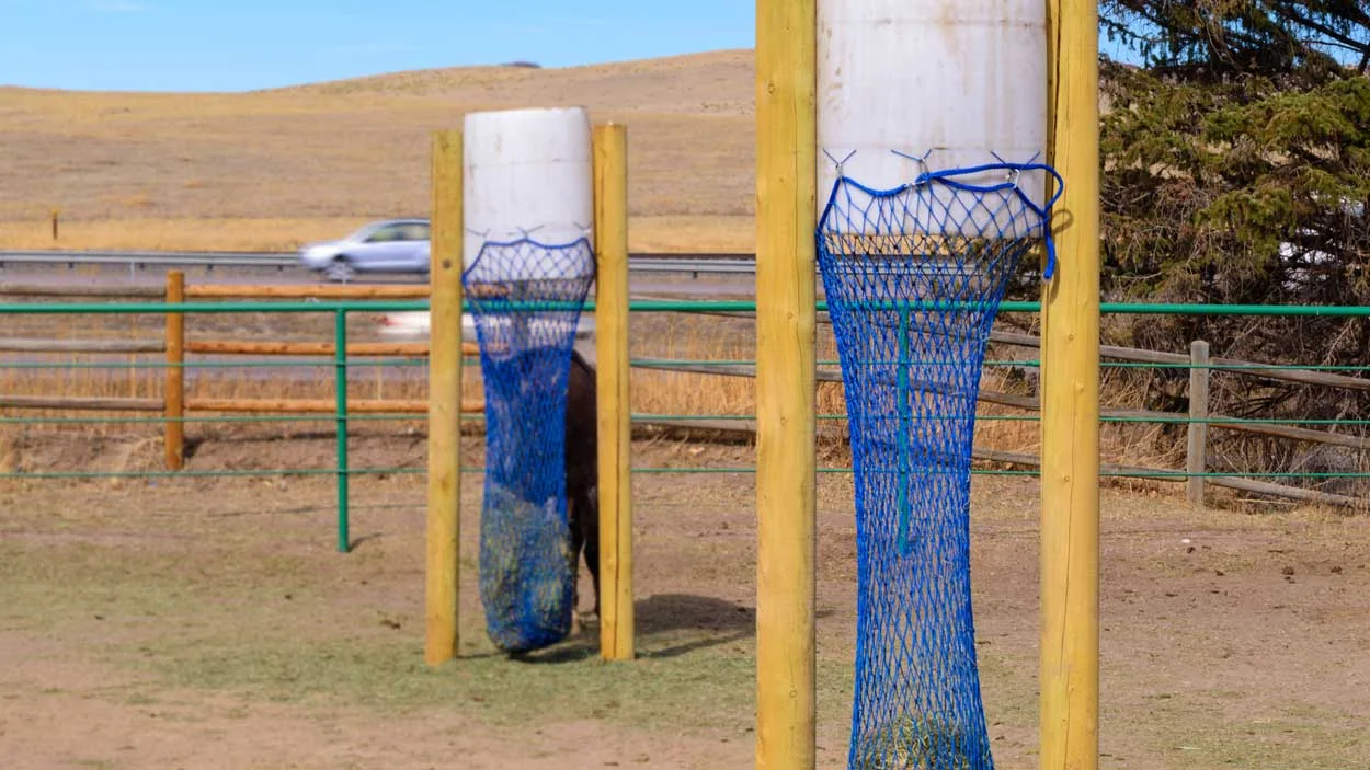 Boarding_Paddocks-2-sml.jpg