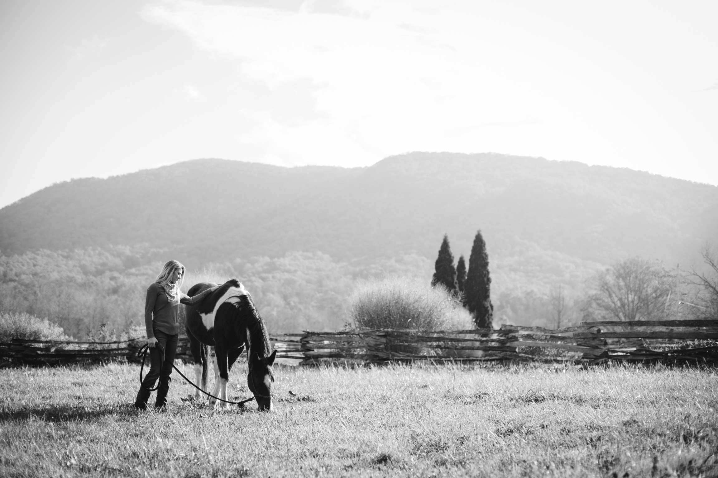 Blue Ridge Mountains Horse Portraits