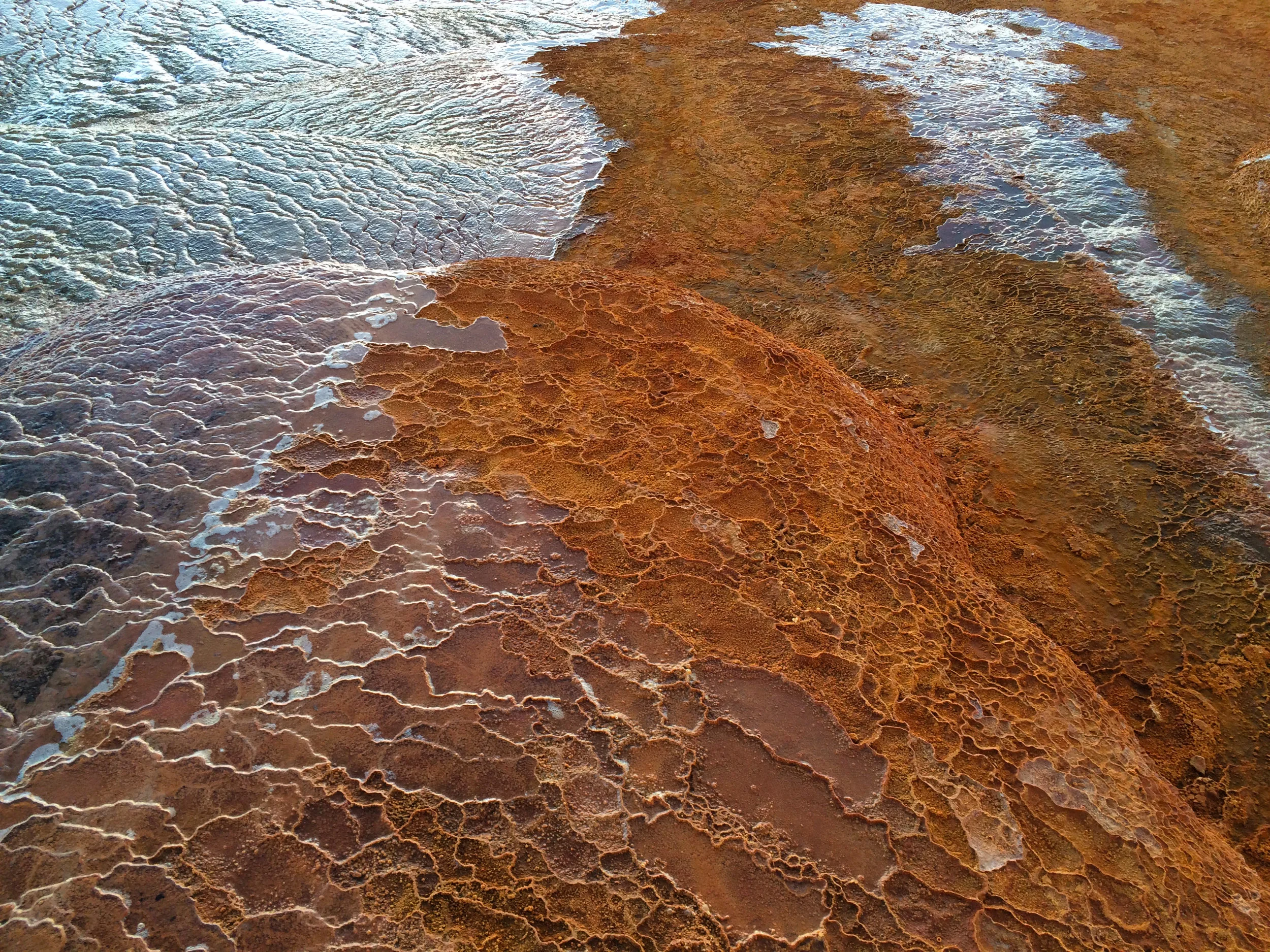 Geyser Detail.JPG