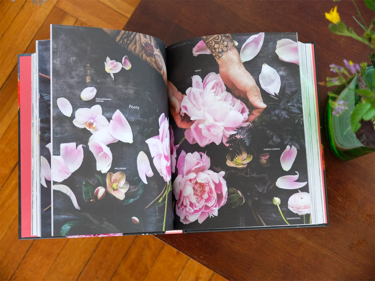 Beautiful pink peonies grace the pages of a spread in Ariella Chezar's latest book, The Flower Workshop, photographed by Erin Funkel.