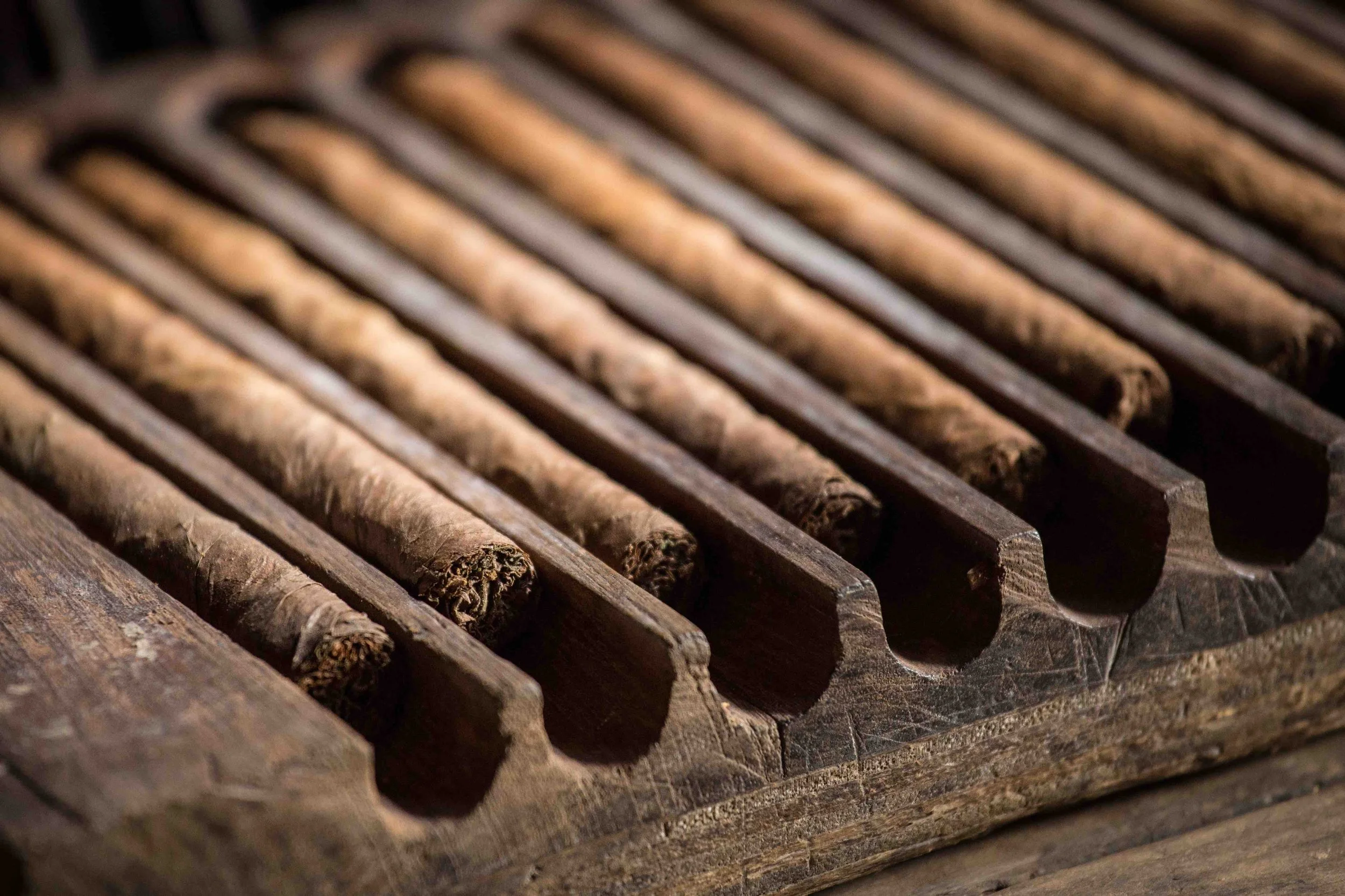 CU84 Cigars 2.jpg