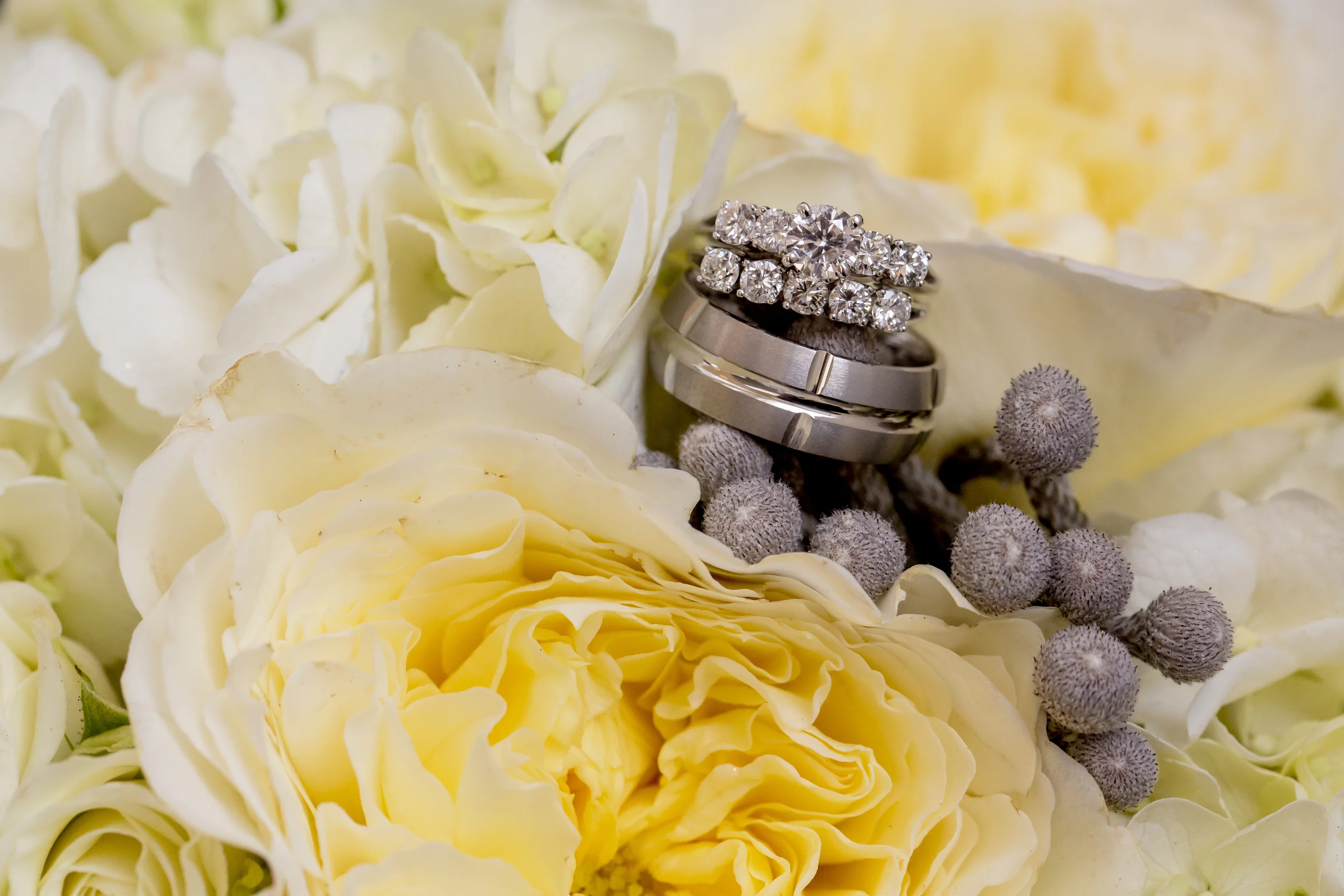 It's beginning to look a lot like....engagements.