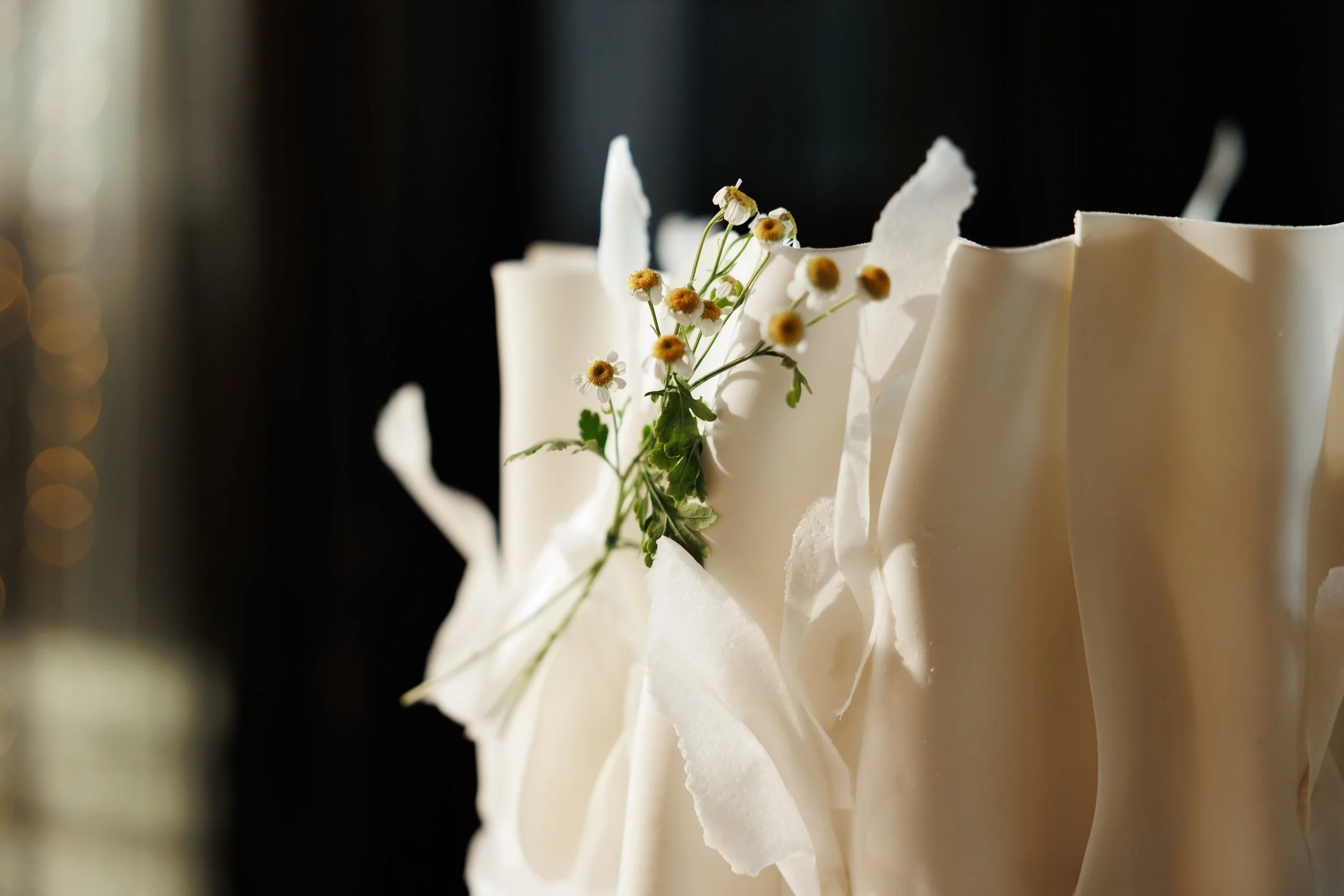 Scarlett 3rd February 2024