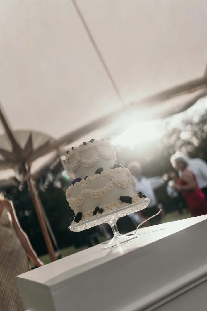 Ebanny & Ed's vegan wedding cake