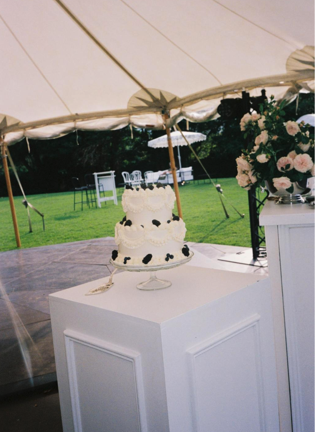 Ebanny & Ed's vegan wedding cake
