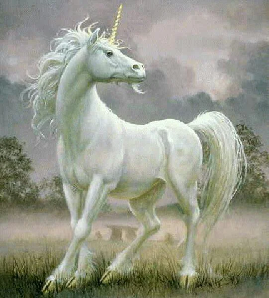 Unicorn Guides