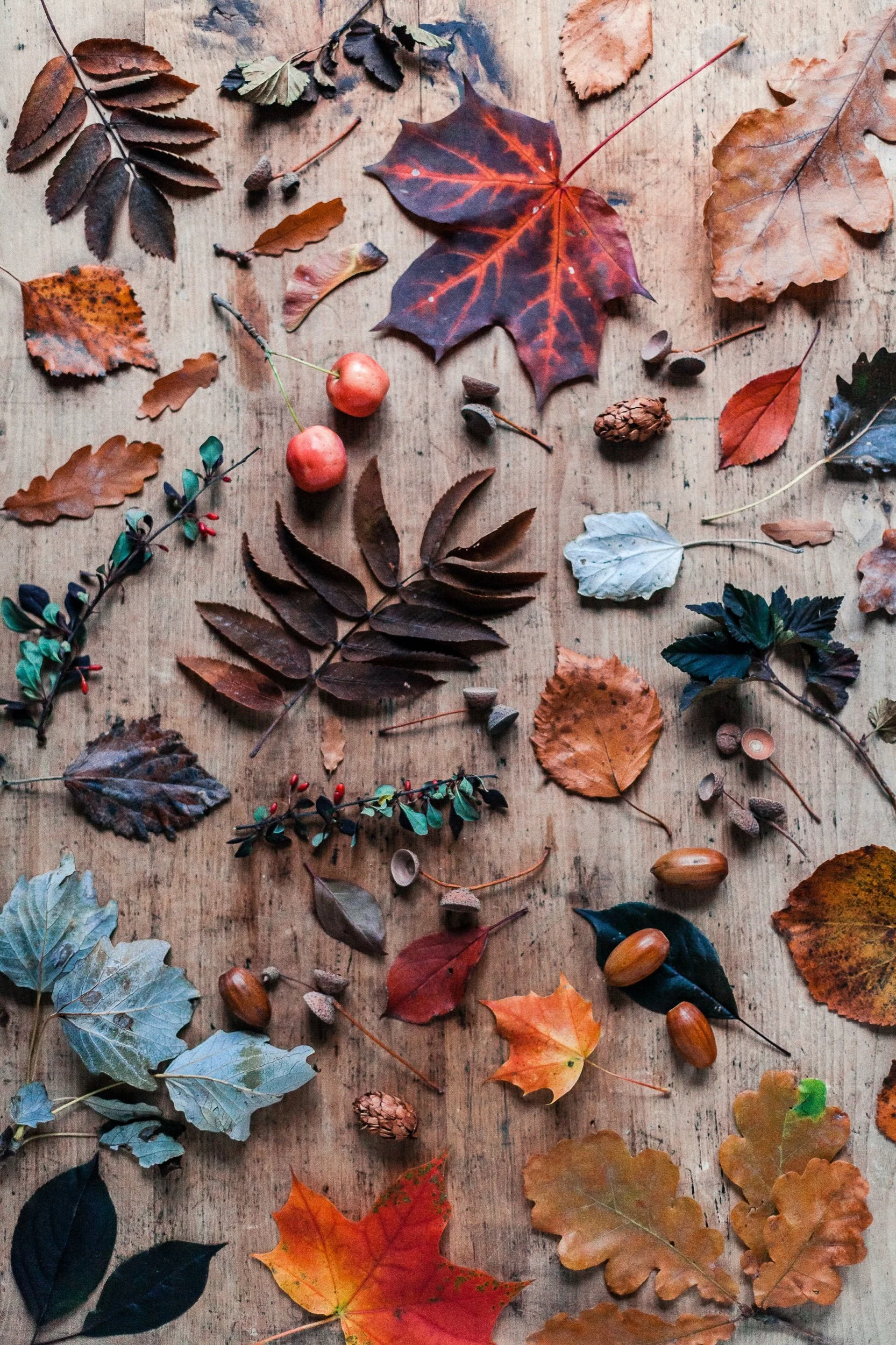 5 ways to honour  Autumn Equinox