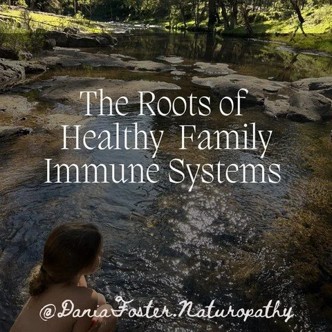 🌿 Immunity is more than fighting bugs &mdash; it&rsquo;s building strength from the ground up.

In this article, I explore:

✨ Why gut health is foundational
✨ The underrated power of sleep, nature &amp; rhythm
✨ How your emotional &amp; energetic s