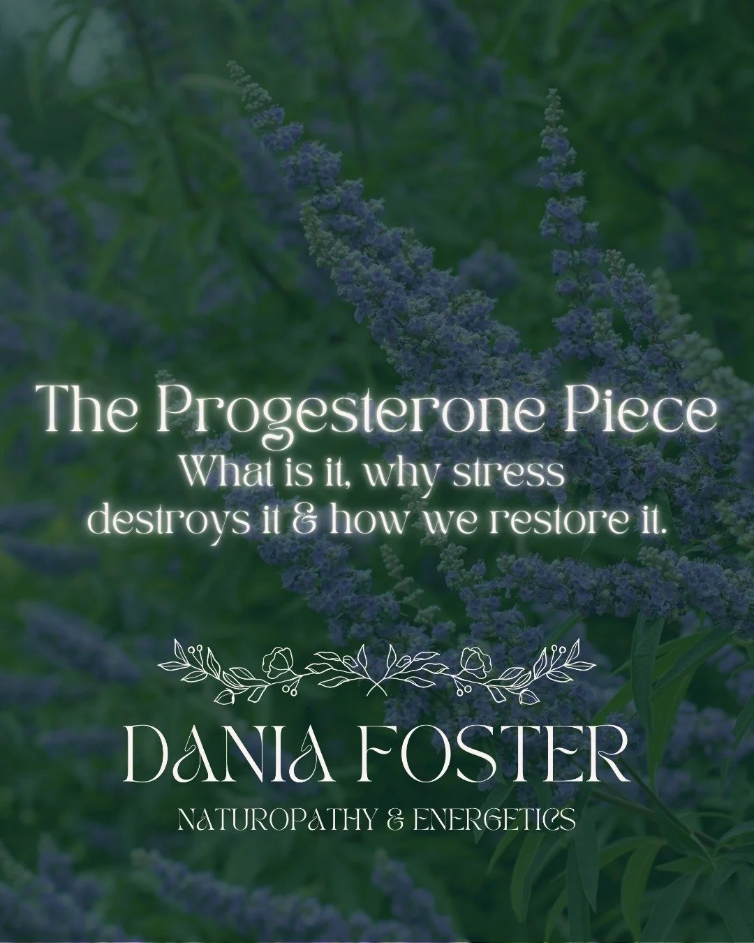 Zero patience? Can't sleep? Loosing your shit on the reg?
Your progesterone is probably depleted.

Progesterone is your calming hormone - your emotional buffer. When it's gone, you have nothing left to cope with normal life chaos.

Here's what you ne