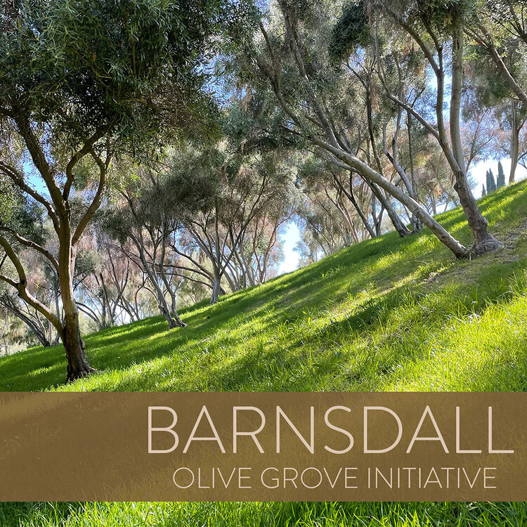Barnsdall_Olive_Grove_Initiative_01.jpg