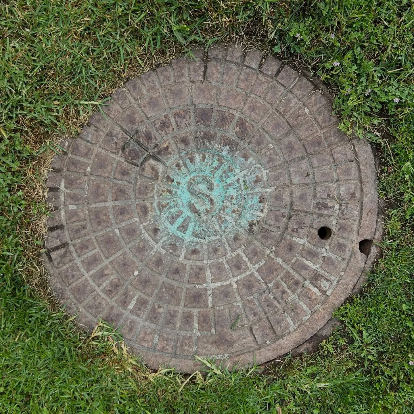 Becoming one with nature

Embedded
Botanical Visions
2026

#LAlandscapes #morningwalk #botanicalvisions #nature