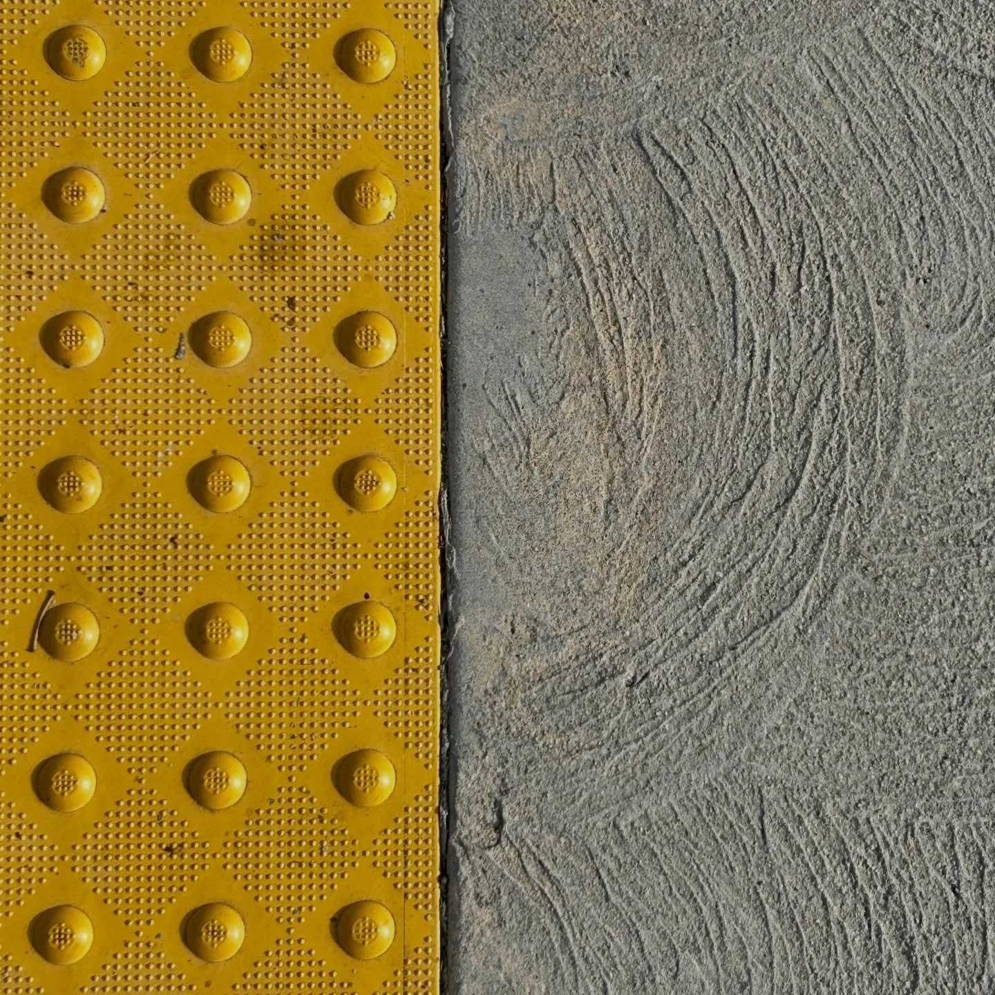 Be bold

Patterned
Botanical Visions
2026

#LAlandscapes #morningwalk #patterns